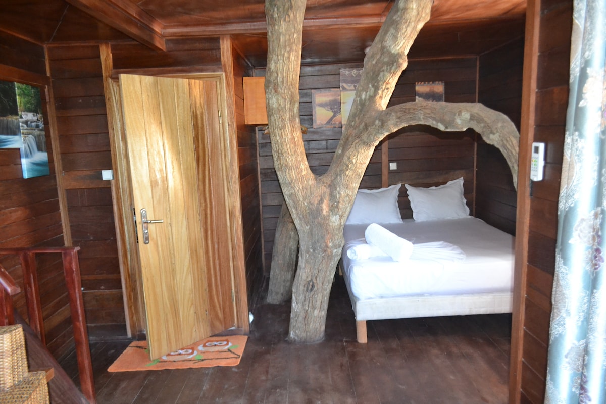 A spacious bedroom features natural wood paneling and a unique tree integrated into the design. A comfortable bed with fresh linens is positioned against the wall. A wooden door leads to the outside, while decorative artwork and a soft rug add warmth to the room.