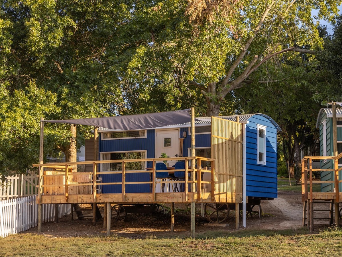 A spacious blue shepherd's hut is surrounded by greenery, featuring a wooden deck with shaded seating. The entrance is framed by a small wood railing, leading to an indoor space with a window looking out to a tranquil natural setting.