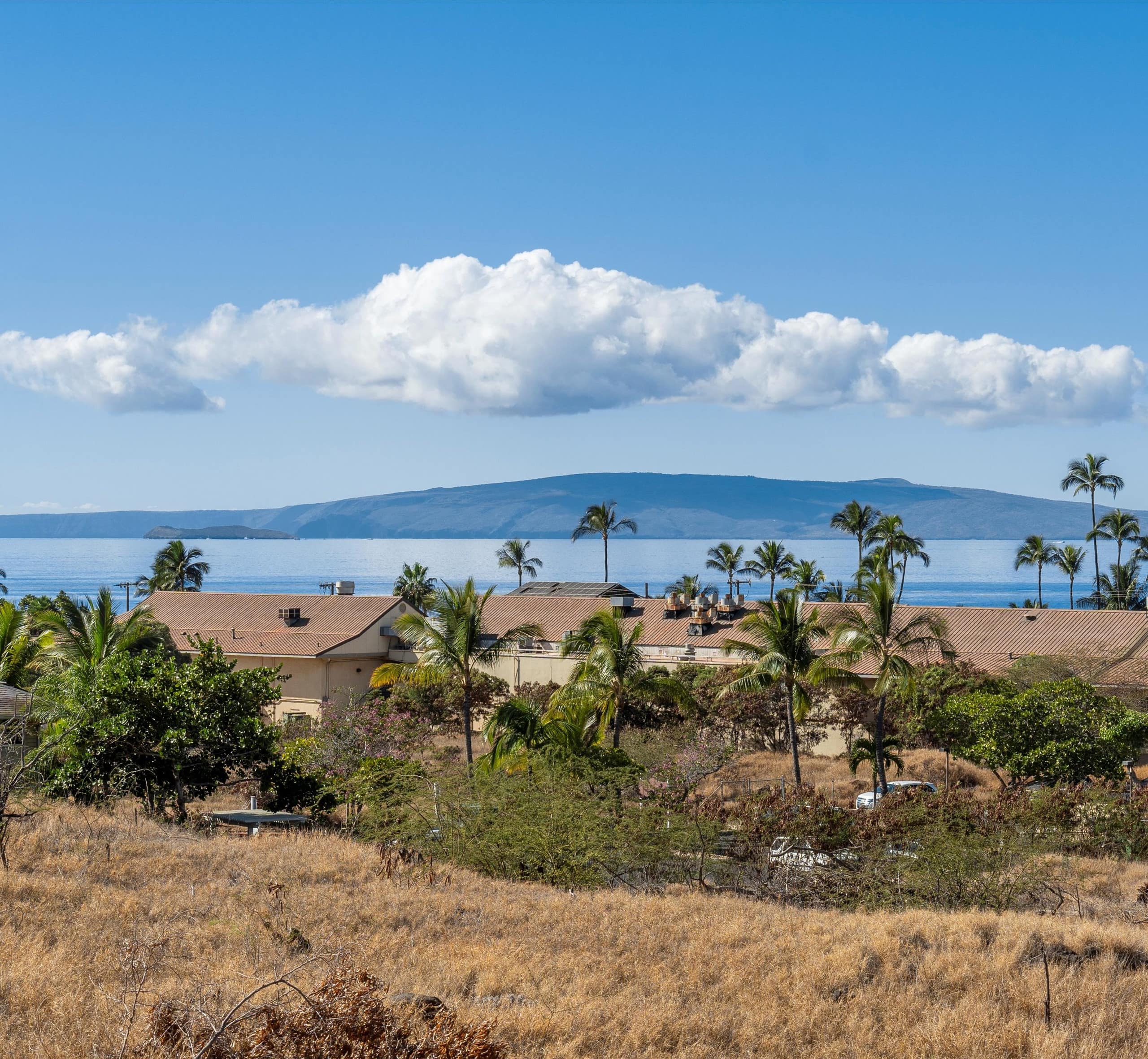 Oceanview condo w/ pool and beach access - Image 8