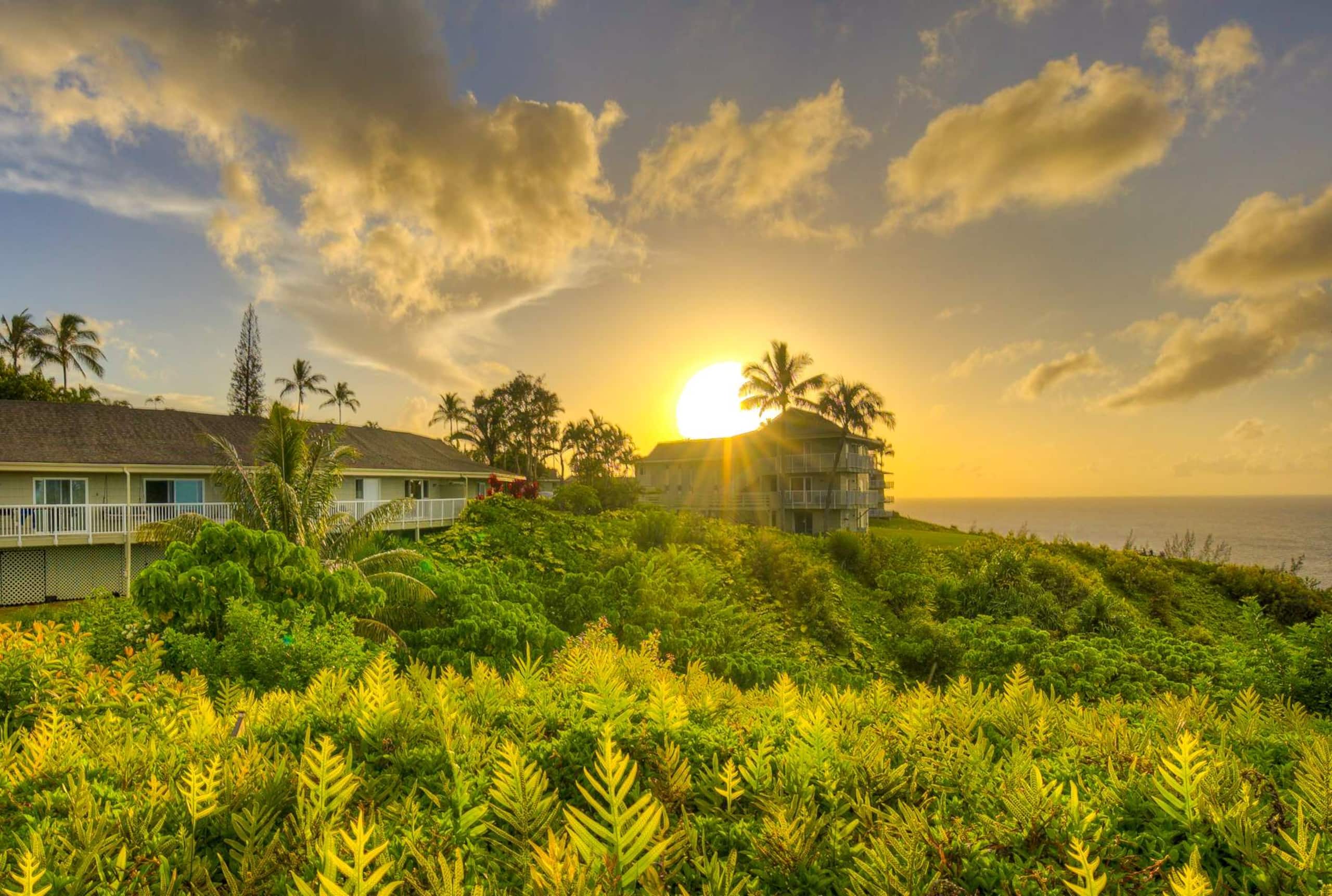 Ocean Views from Every Room! Hawaiian Heaven - Image 39