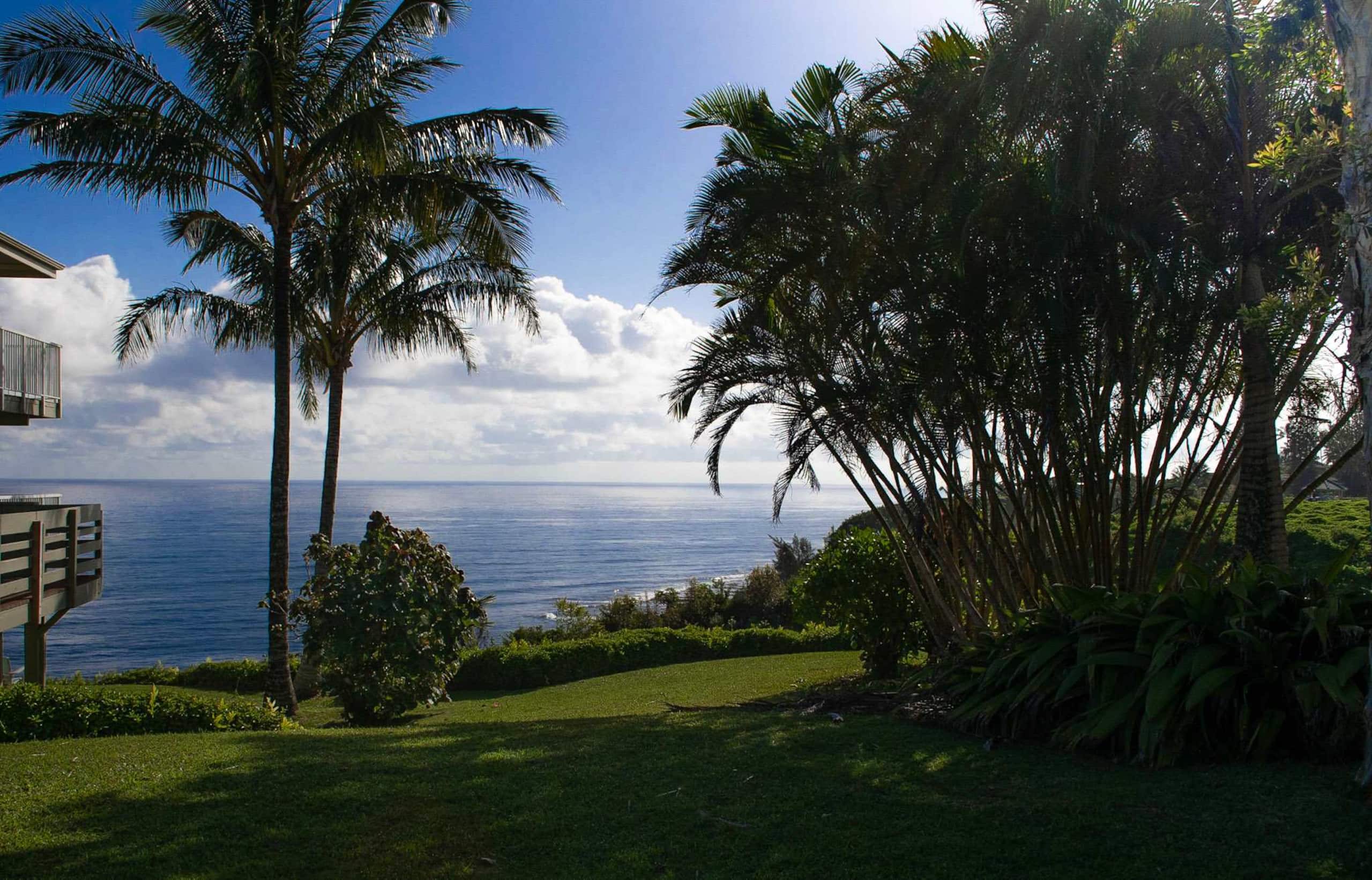 Ocean Views from Every Room! Hawaiian Heaven - Image 24