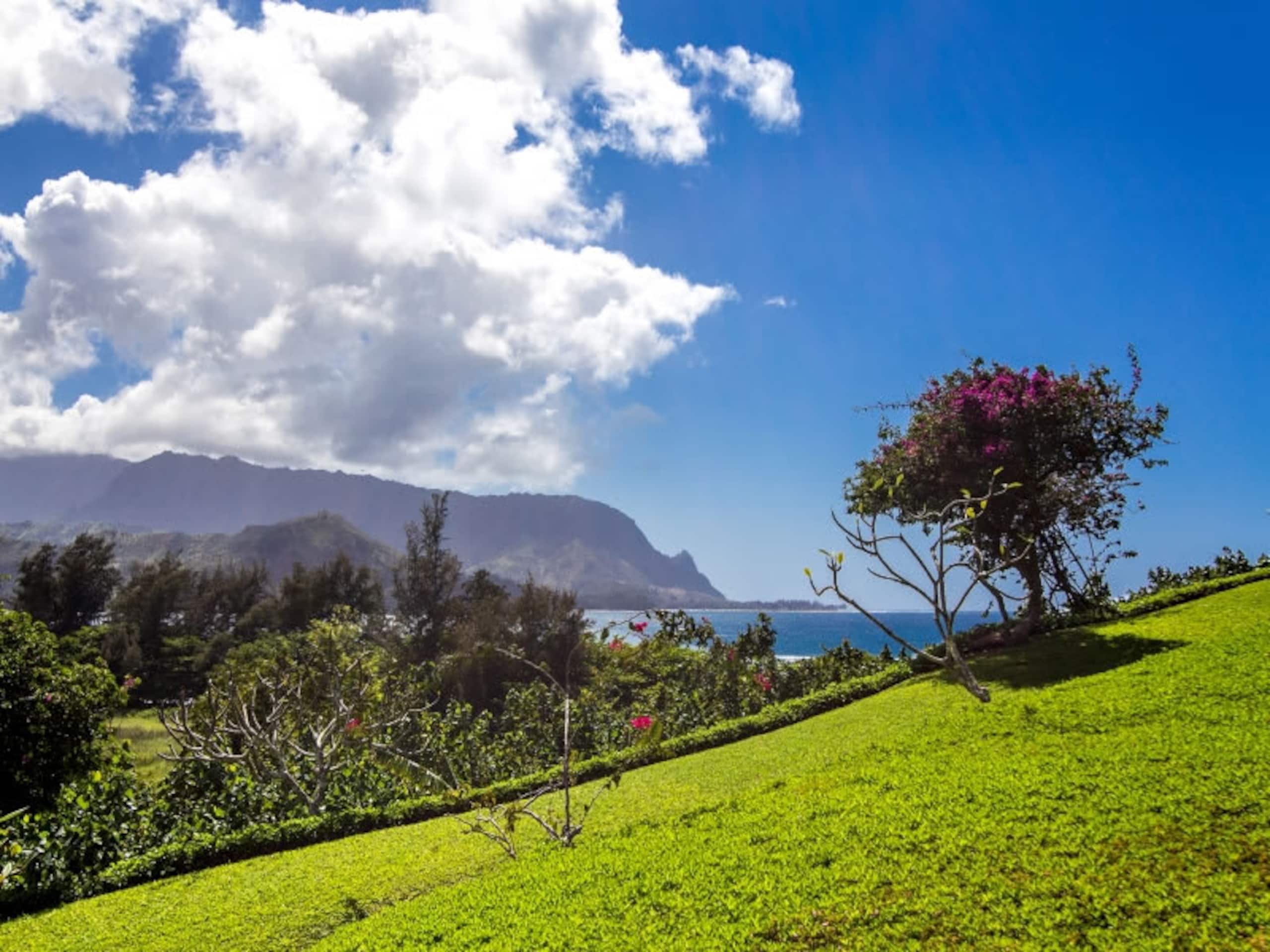 Condo in Princeville · ★4.62 · 2 bedrooms · 3 beds · 2 baths - Image 27