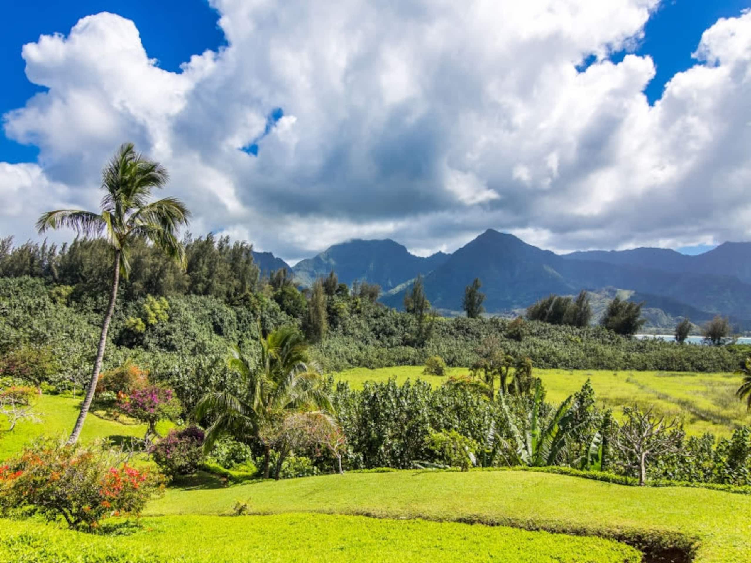 Condo in Princeville · ★4.62 · 2 bedrooms · 3 beds · 2 baths - Image 28