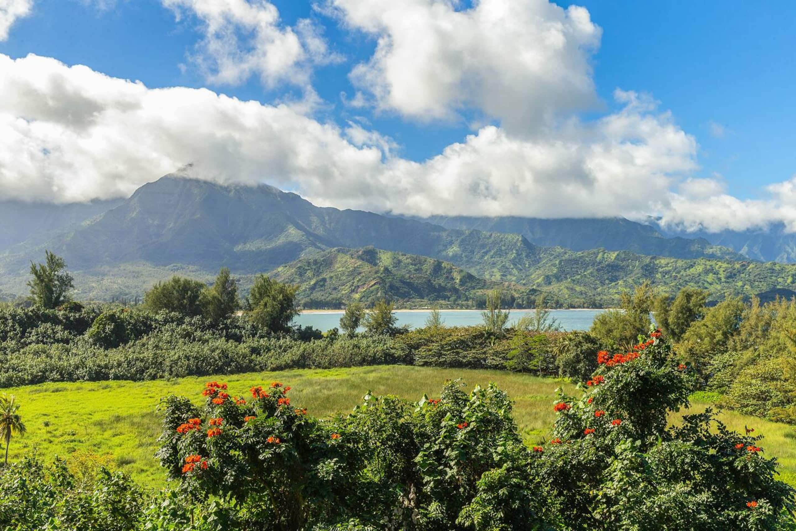 Hanalei Bay Resort 4303 by Gather - Photo 11