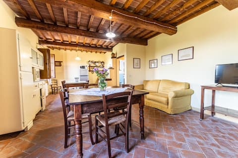 Popular Airbnb listing: Frutteti Apartment 4 + 2 + 2 + 2 | up to 135 sqm in Arezzo