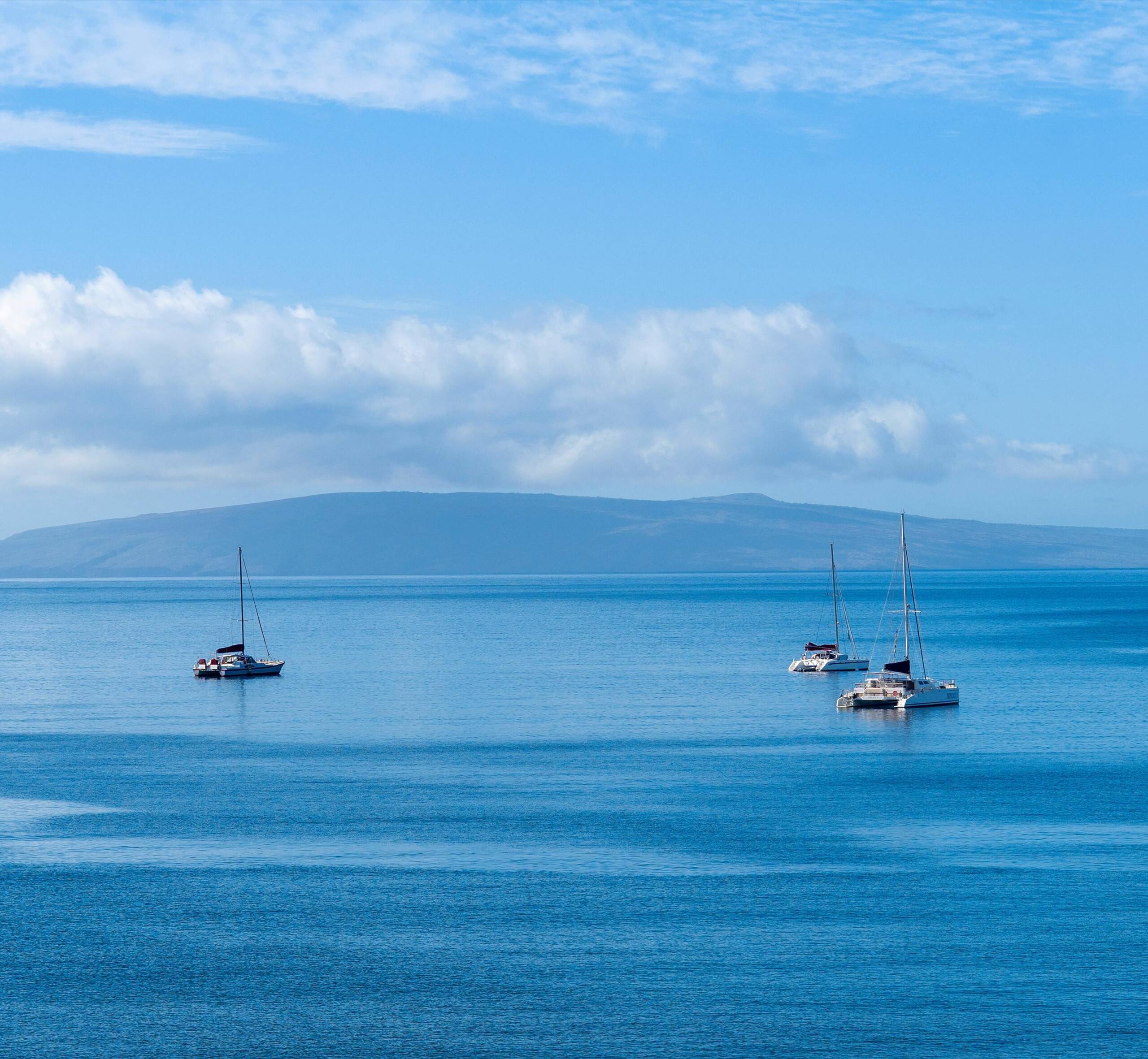 Condo in Kihei · ★4.5 · 2 bedrooms · 3 beds · 2 baths - Image 15