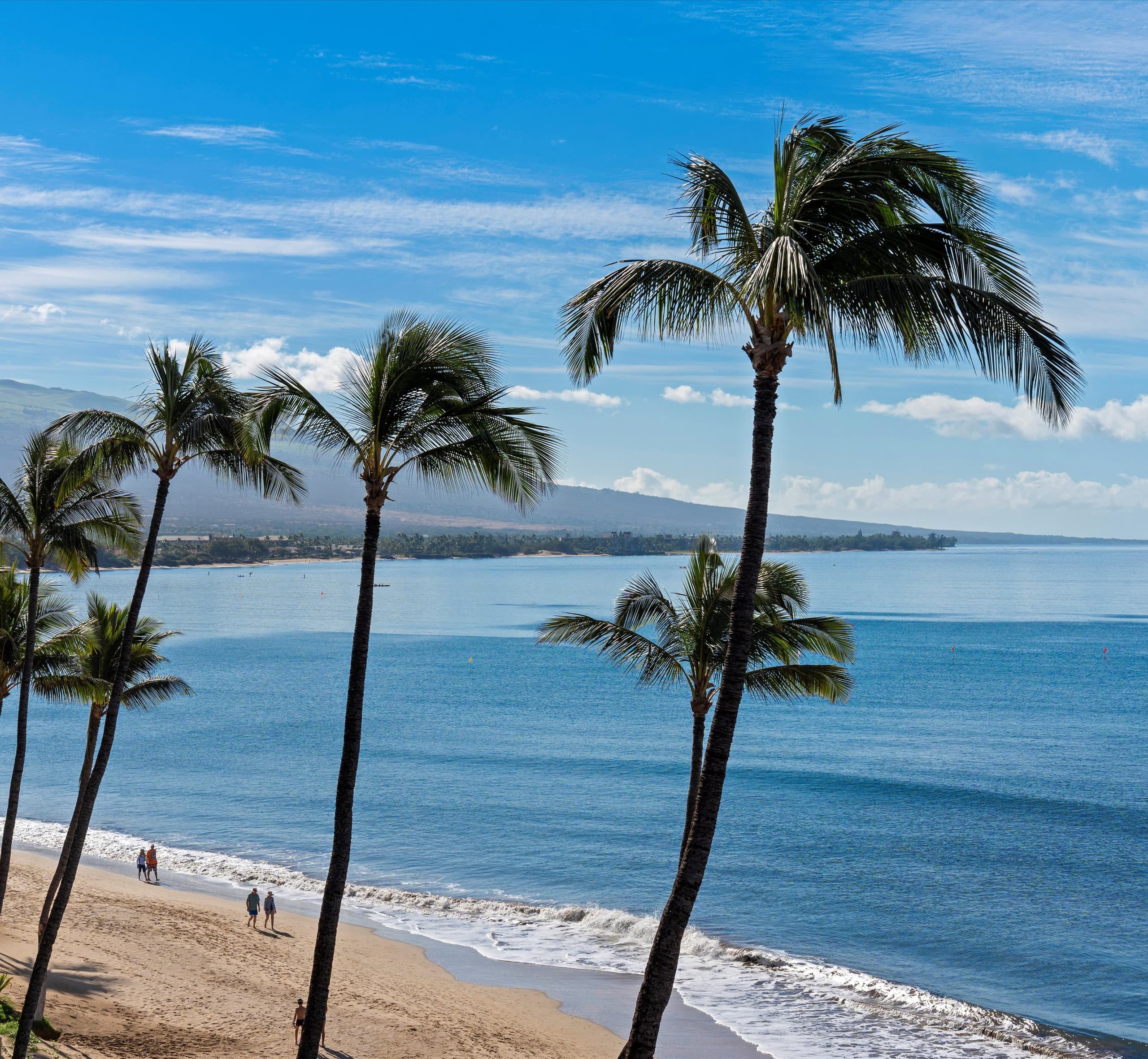 Condo in Kihei · ★4.5 · 2 bedrooms · 3 beds · 2 baths - Image 16