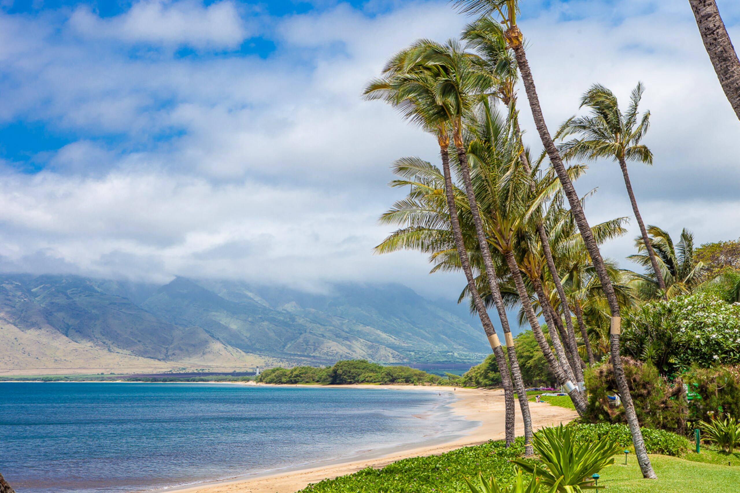 Condo in Kihei · ★4.5 · 2 bedrooms · 3 beds · 2 baths - Image 56