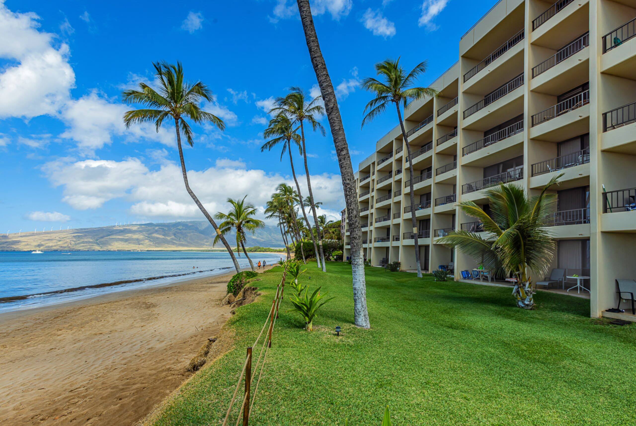 Condo in Kihei · ★4.5 · 2 bedrooms · 3 beds · 2 baths - Image 44