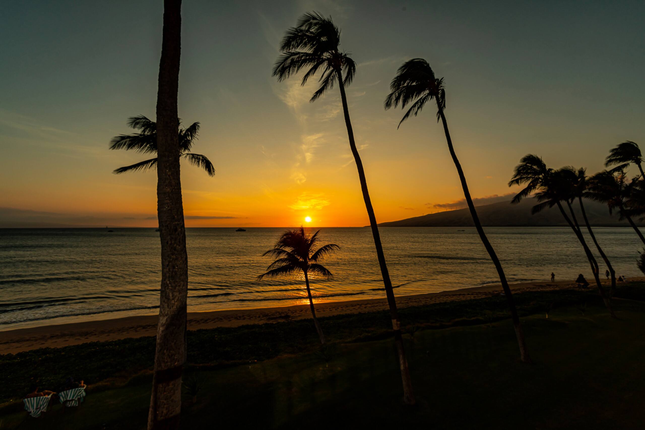 Condo in Kihei · ★4.5 · 2 bedrooms · 3 beds · 2 baths - Image 59