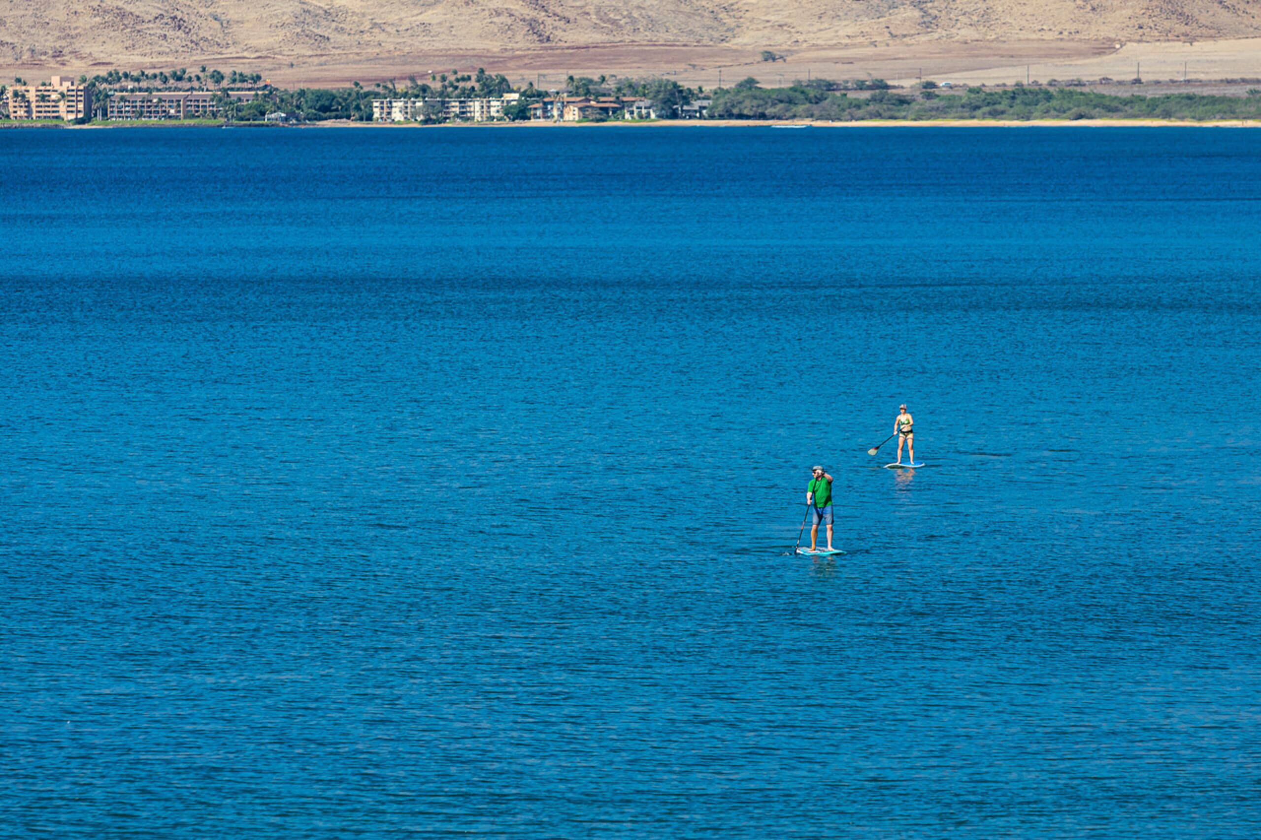 Condo in Kihei · ★4.5 · 2 bedrooms · 3 beds · 2 baths - Image 52