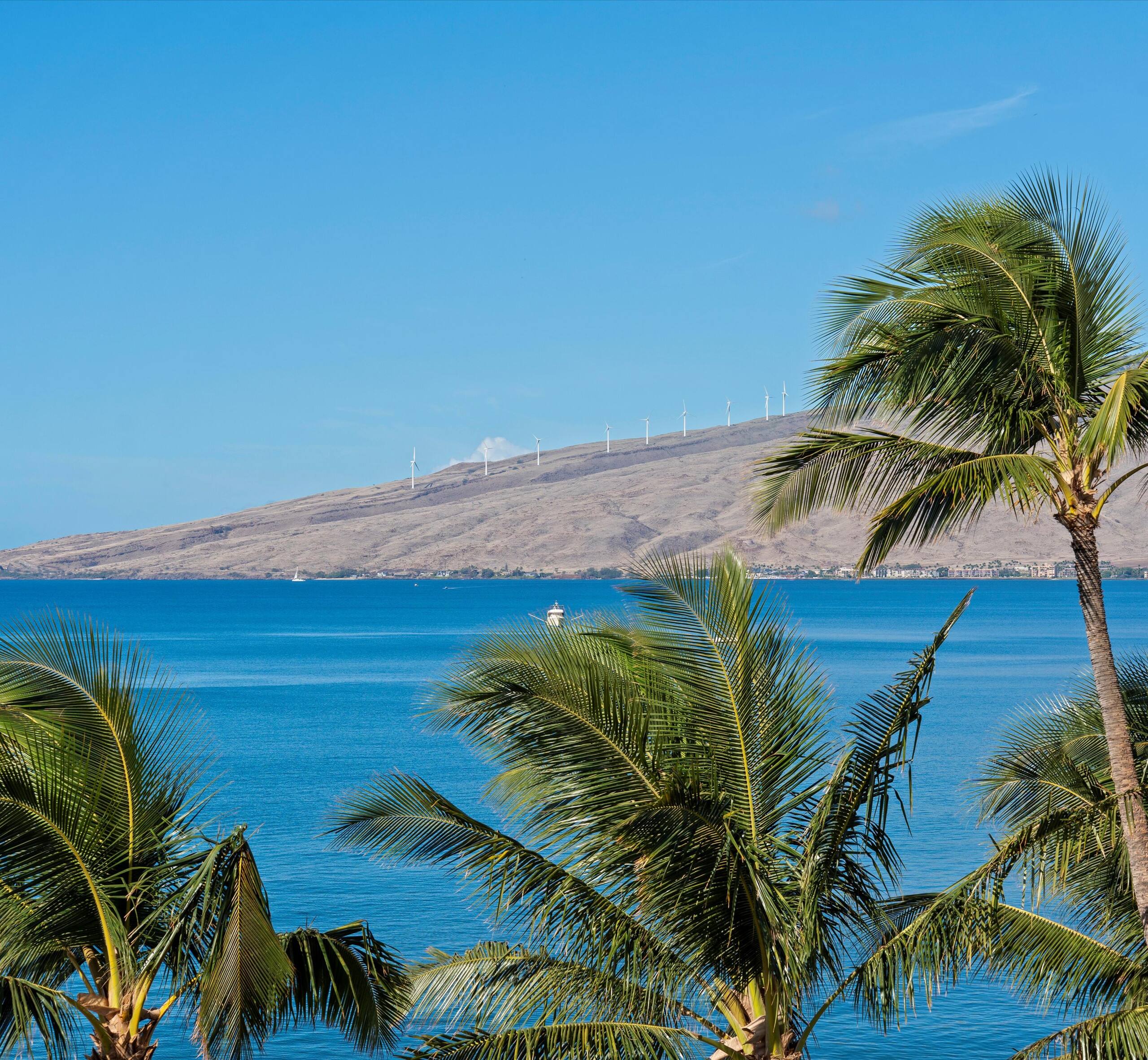 Condo in Kihei · ★4.5 · 2 bedrooms · 3 beds · 2 baths - Image 11