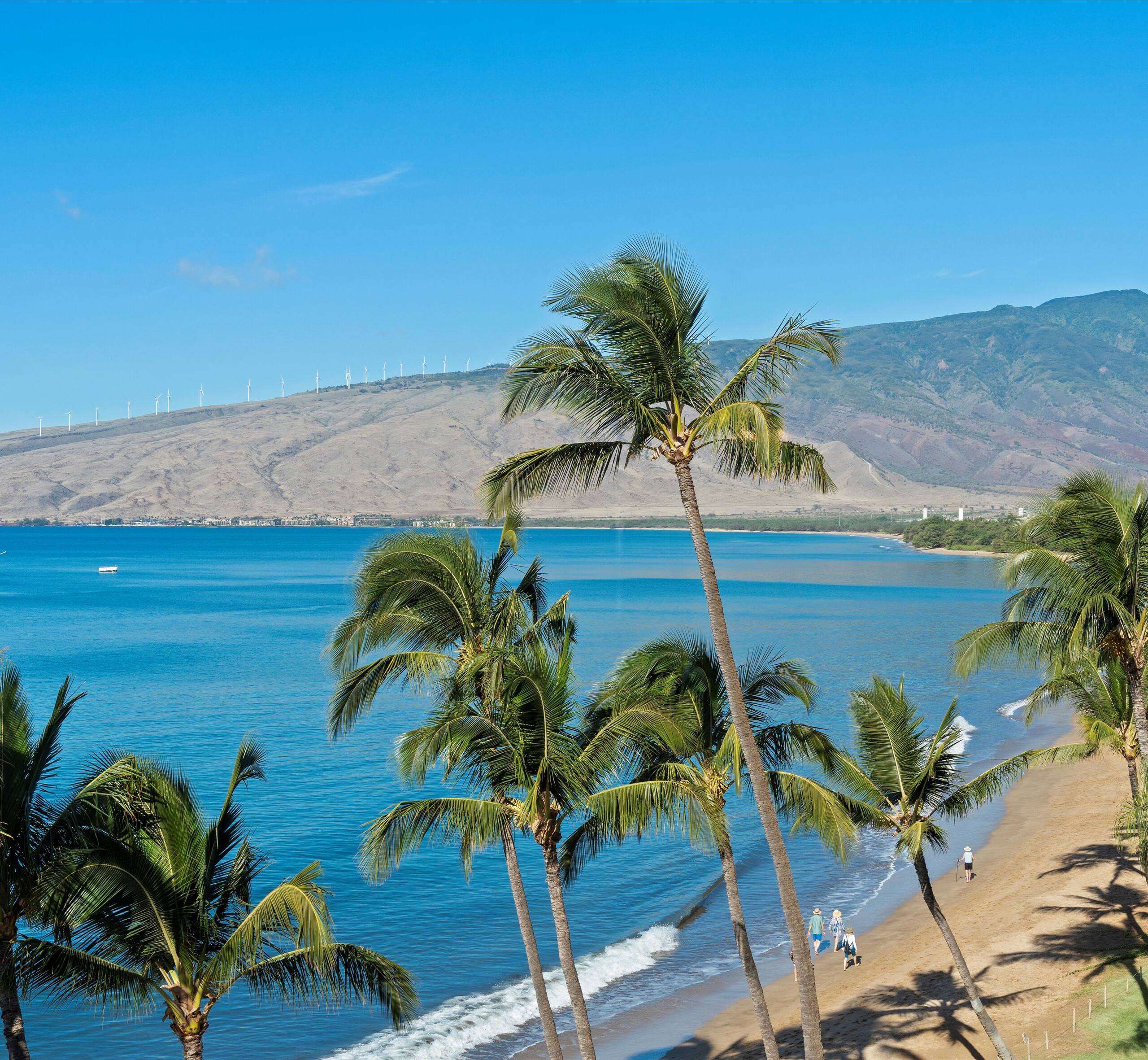 Condo in Kihei · ★4.5 · 2 bedrooms · 3 beds · 2 baths - Image 7