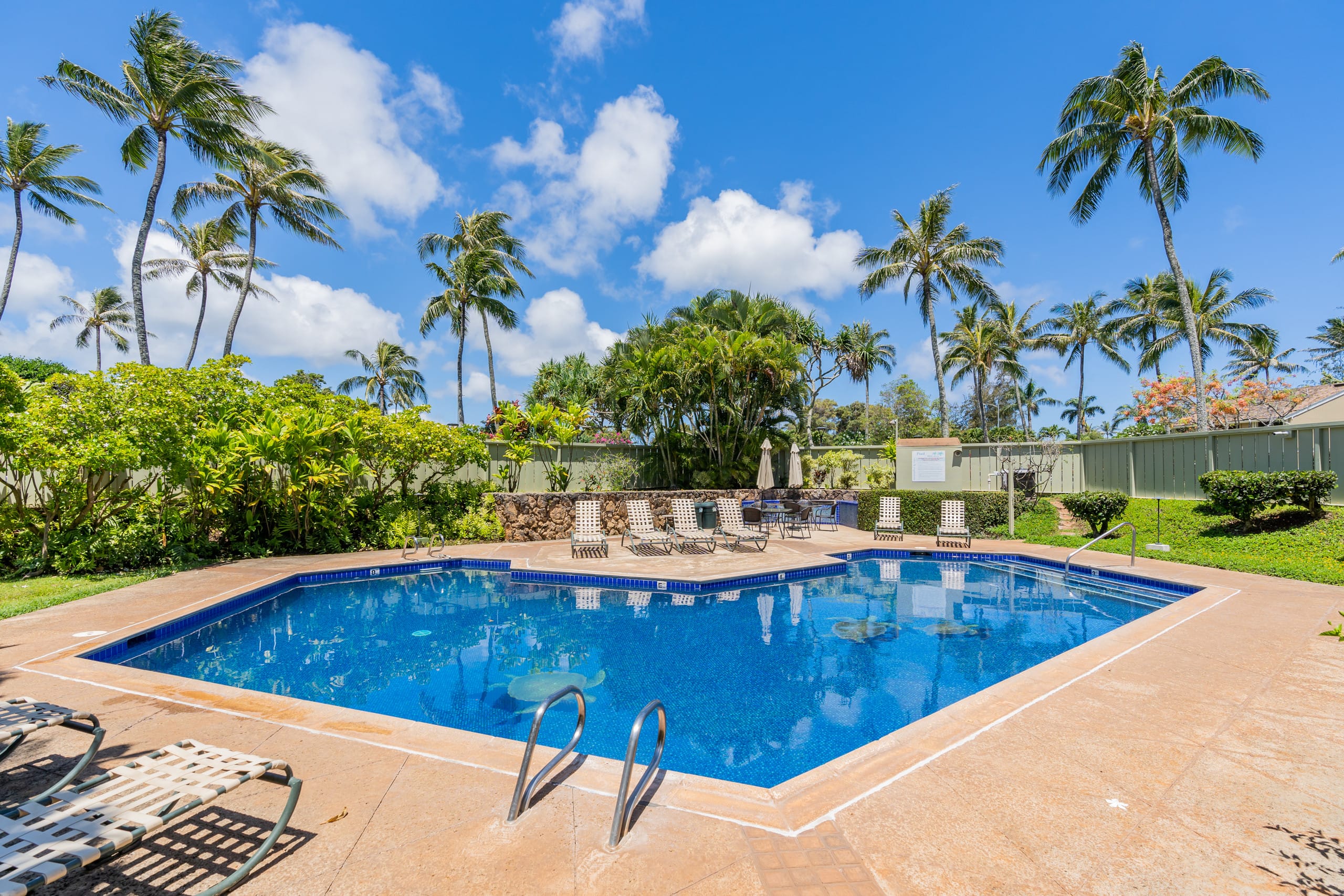 Condo in Kahuku · ★4.53 · 1 bedroom · 1 bed · 1 bath - Image 19