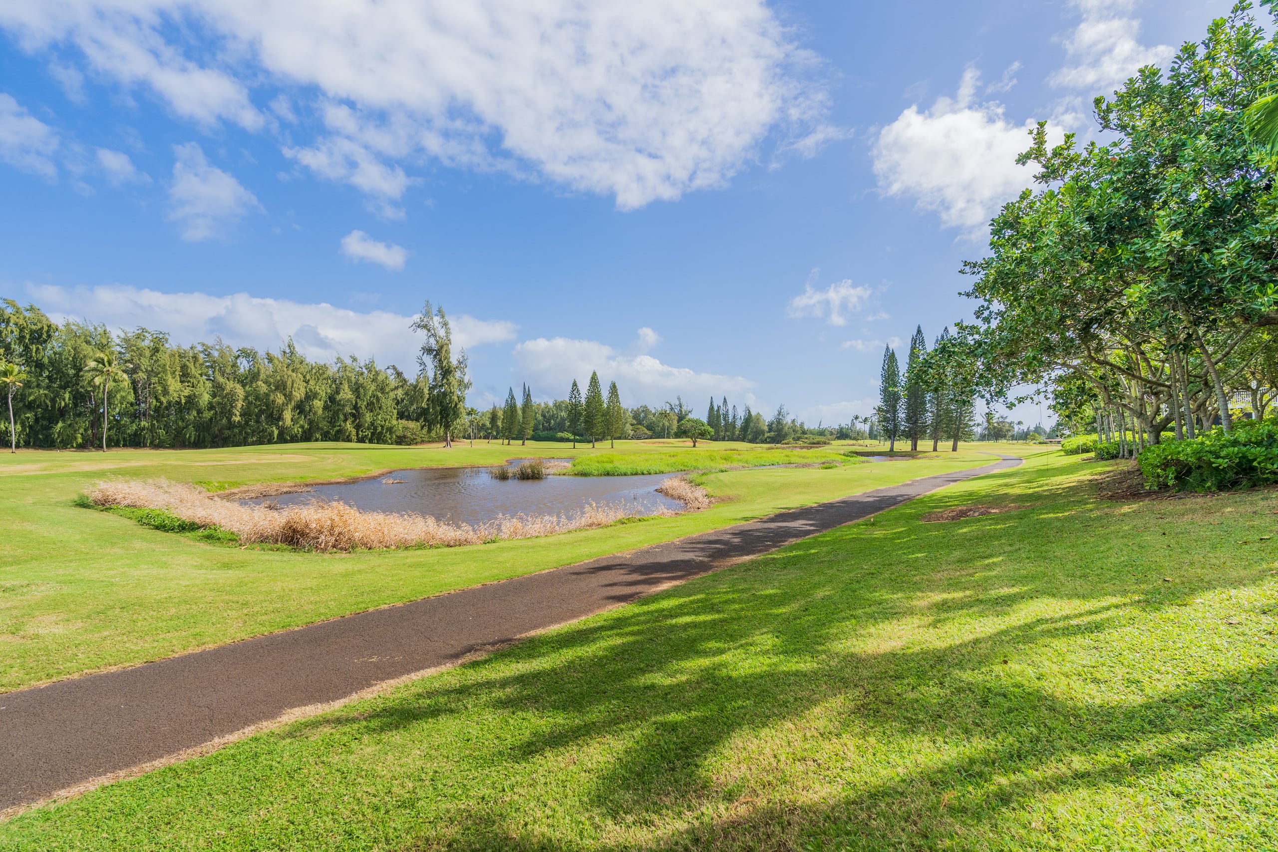 Condo in Kahuku · ★4.81 · 1 bedroom · 1 bed · 2 private baths - Image 35