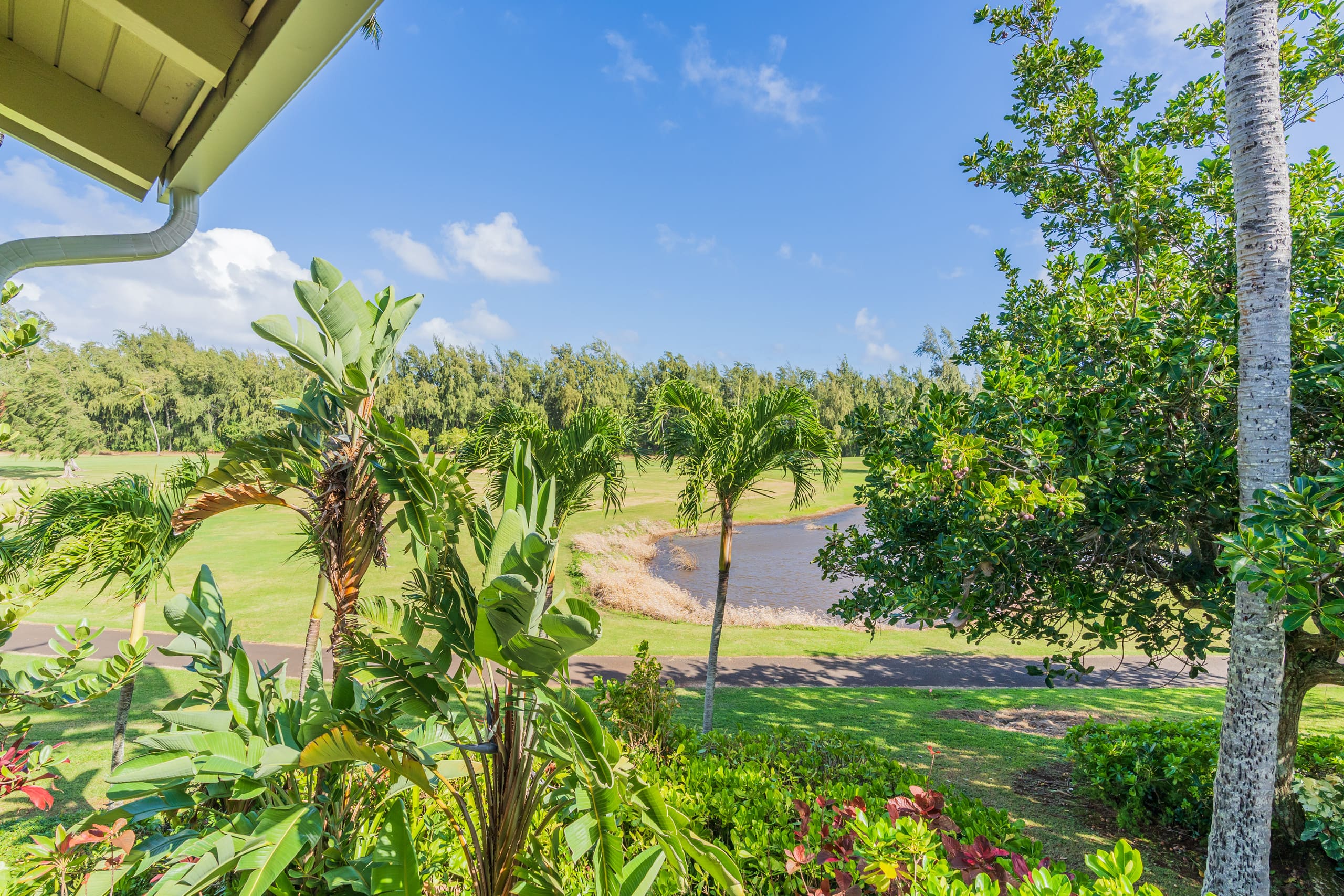 Condo in Kahuku · ★4.81 · 1 bedroom · 1 bed · 2 private baths - Image 32