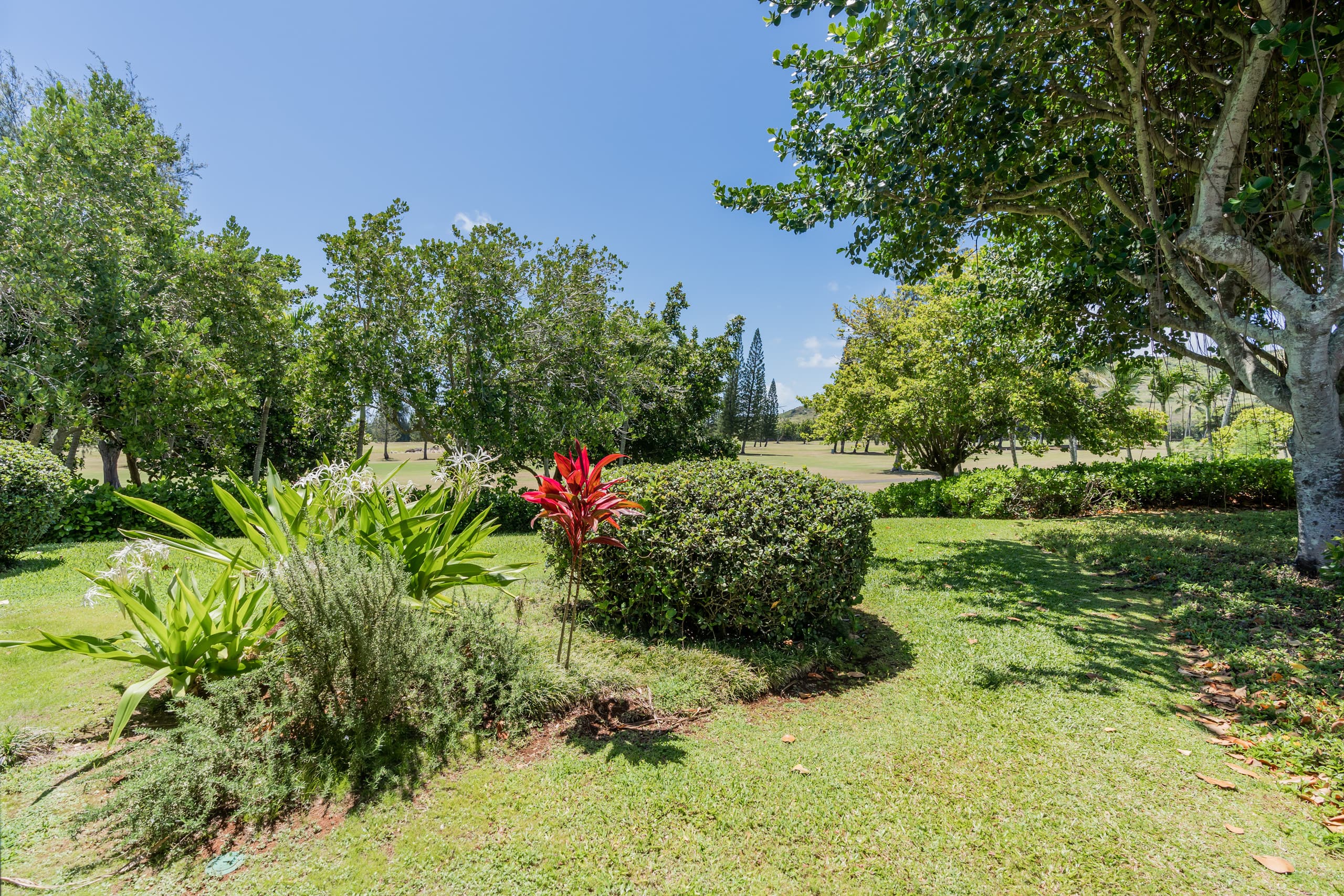 Condo in Kahuku · ★4.61 · 1 bedroom · 1 bed · 1 bath - Image 16