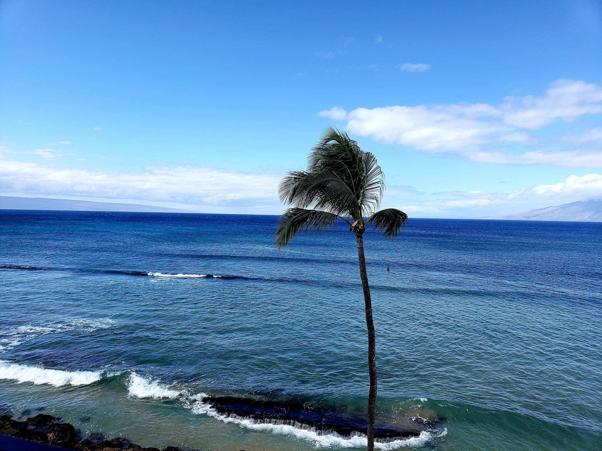 Condo in Lahaina · ★4.88 · 1 bedroom · 1 bed · 1 bath - Image 21