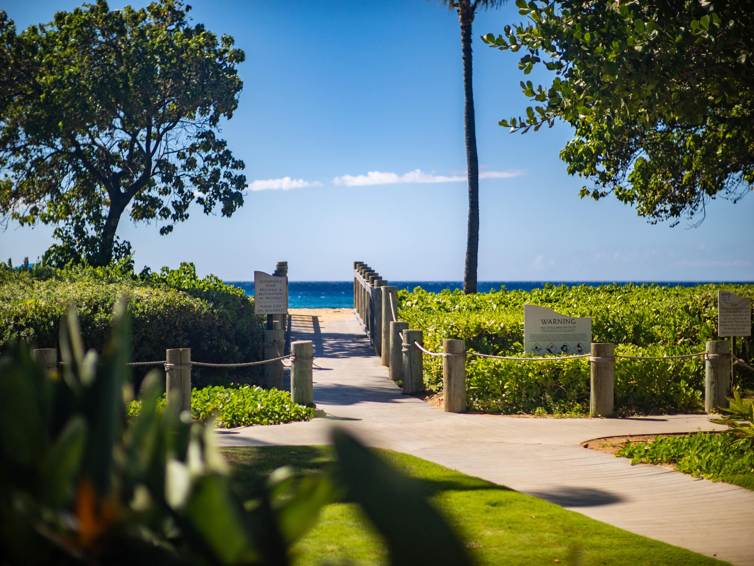 Home in Lahaina · ★4.92 · 2 bedrooms · 3 beds · 2 baths - Image 45