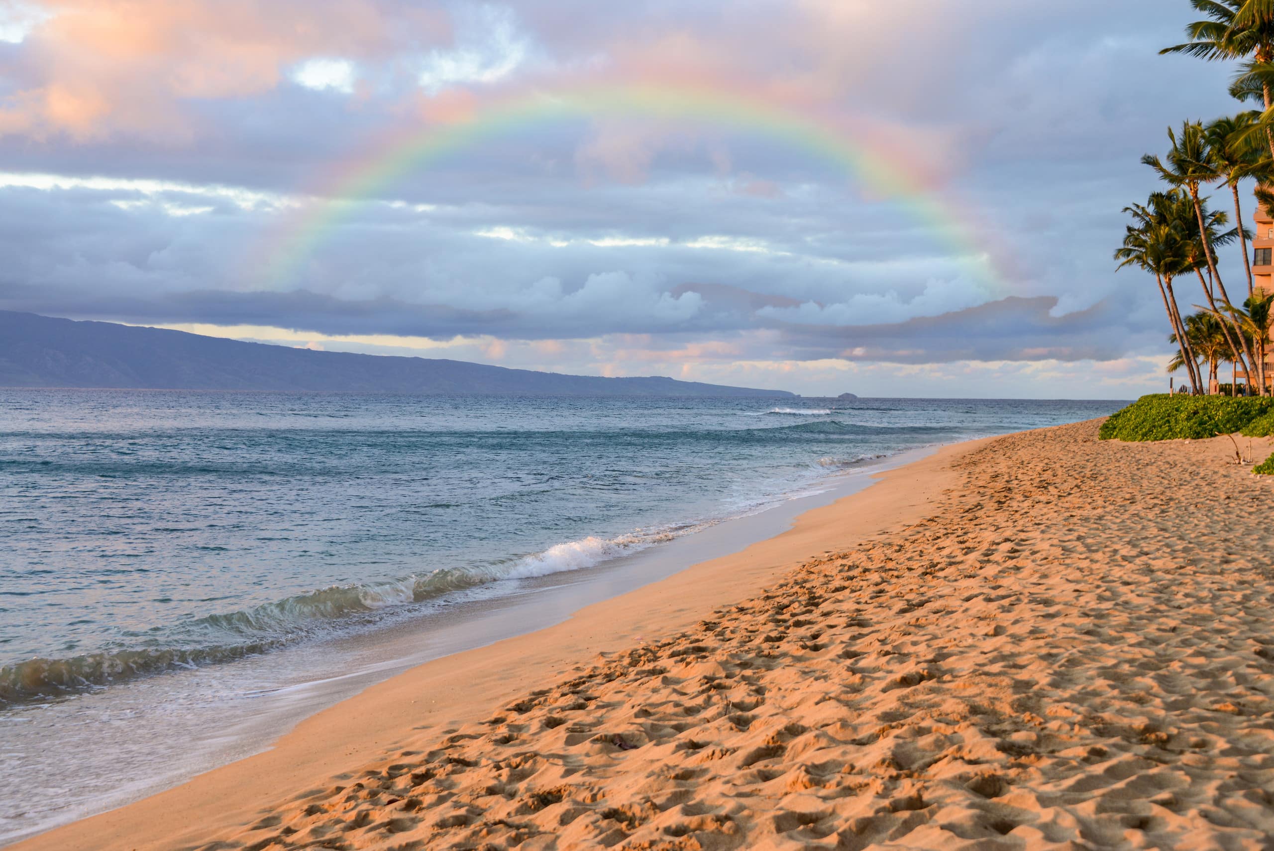 Home in Lahaina · ★4.92 · 2 bedrooms · 3 beds · 2 baths - Image 87