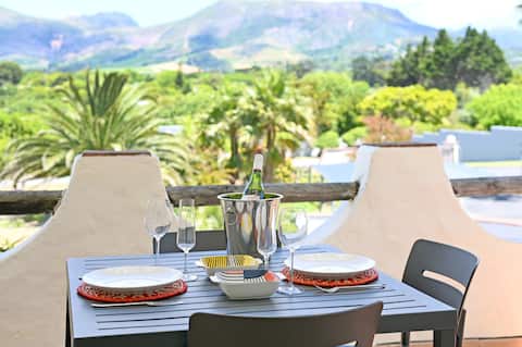 Vineyard & winelands views, Constantia
