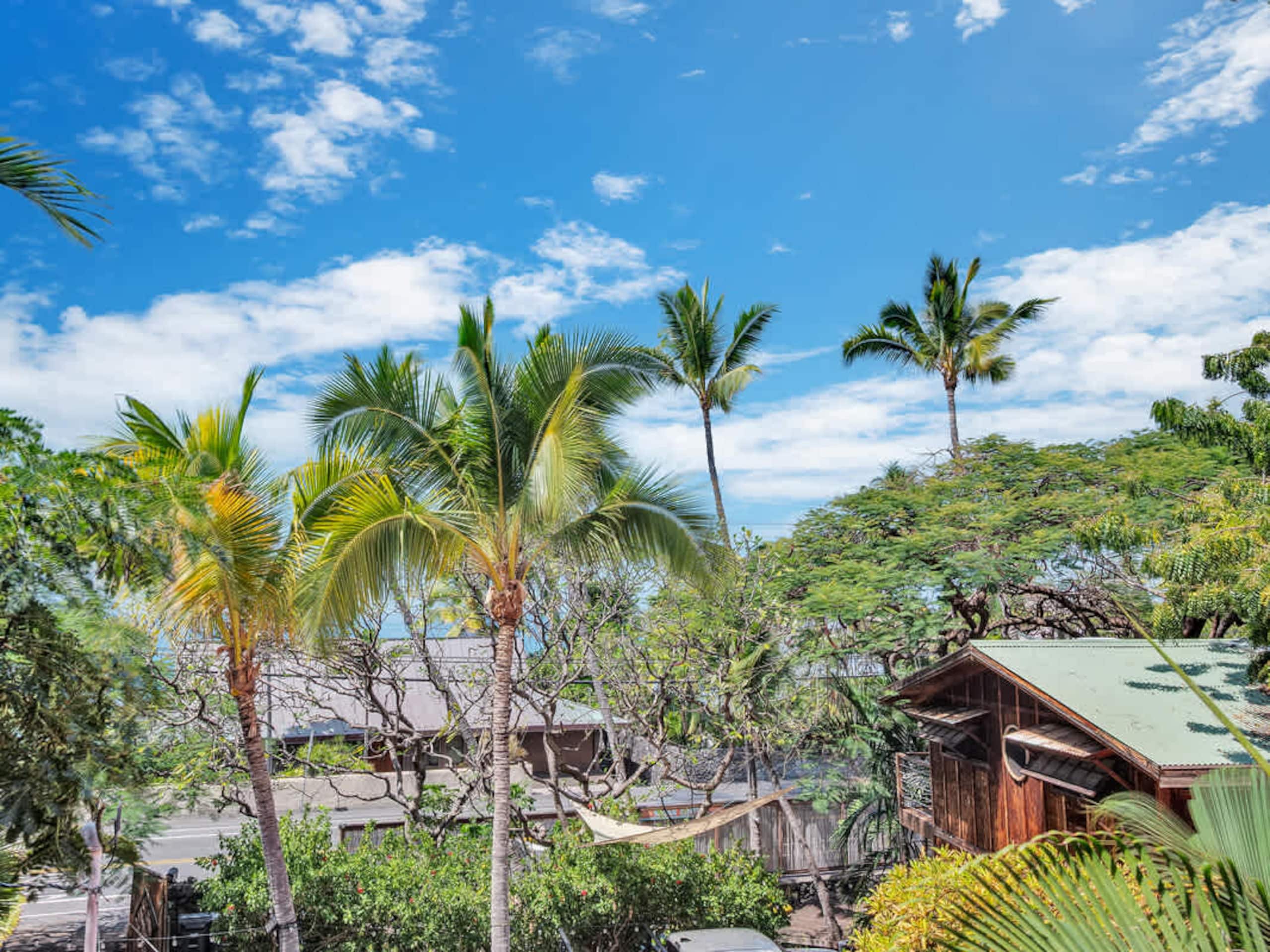 Cabin in Kailua-Kona · ★4.8 · 2 bedrooms · 4 beds · 1 bath - Image 4