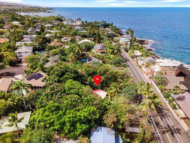 The Salty Jungle Kona gallery image 5