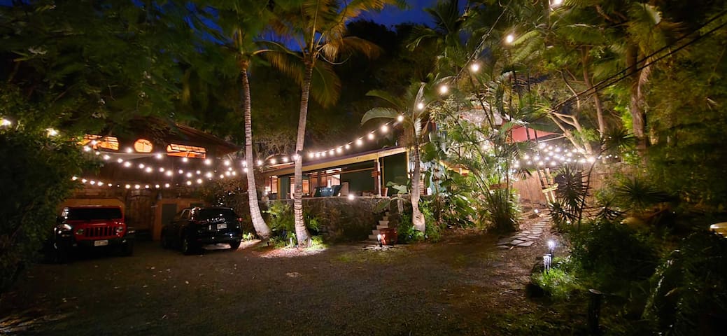 The Salty Jungle Kona gallery image 3