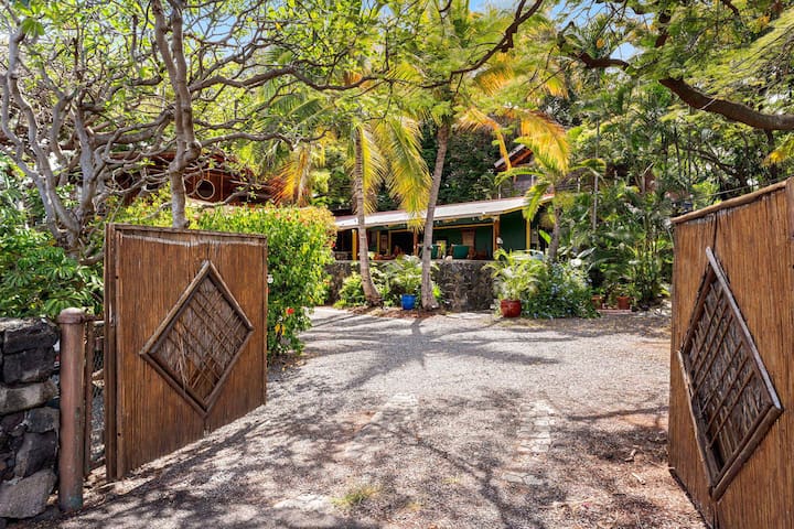 The Salty Jungle Kona gallery image 2