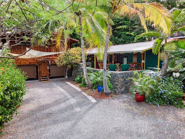 The Salty Jungle Kona