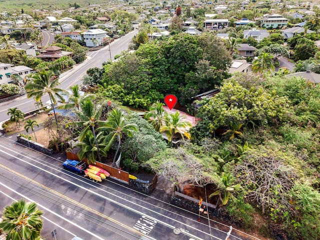 The Salty Jungle Kona gallery image 4