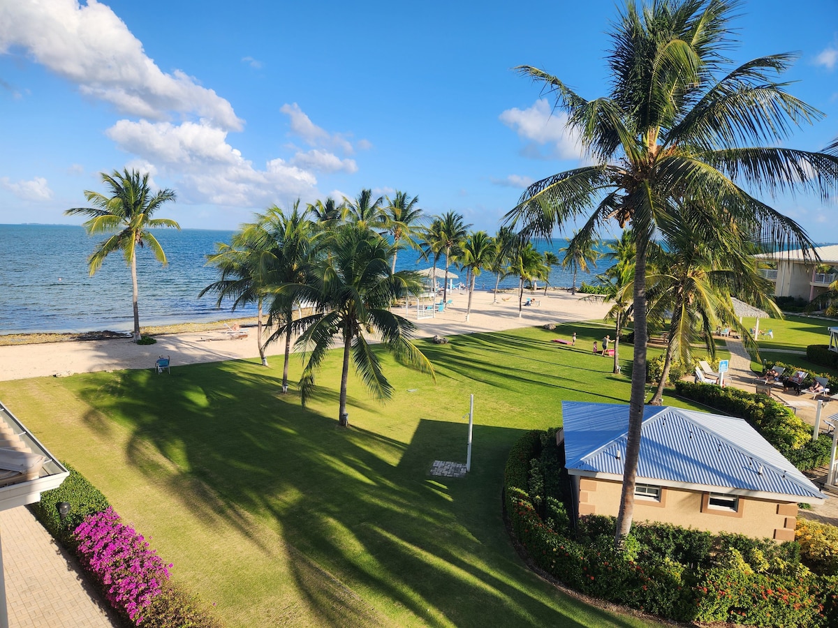 A scenic view of the coastal area is displayed, featuring lush green lawn and swaying palm trees. The sandy beach meets the ocean in the background, while a small blue-roofed structure is positioned nearby, adding to the tranquil outdoor setting.