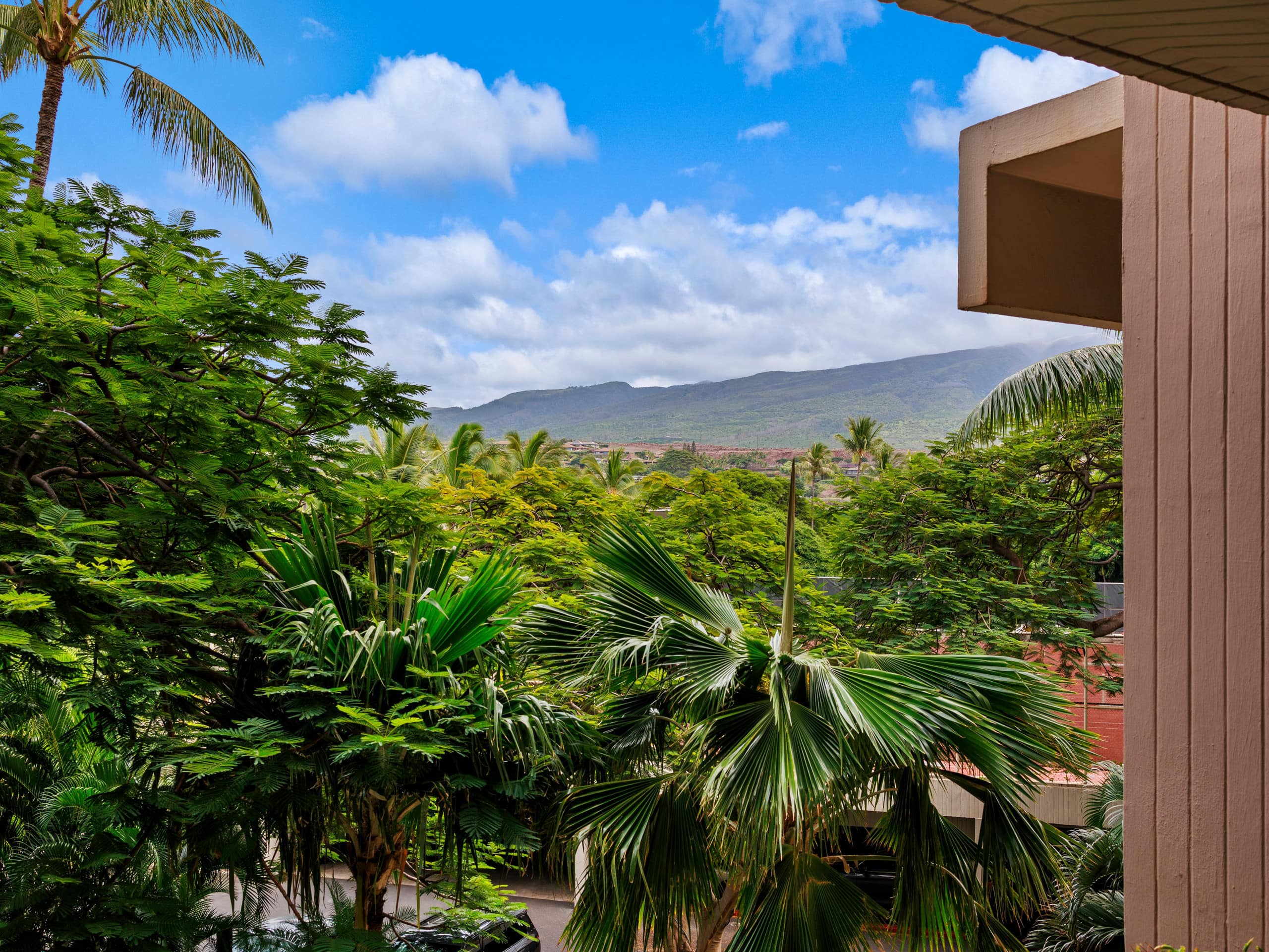 Beautifully Renovated - Kaanapali Alii 234 - Image 21