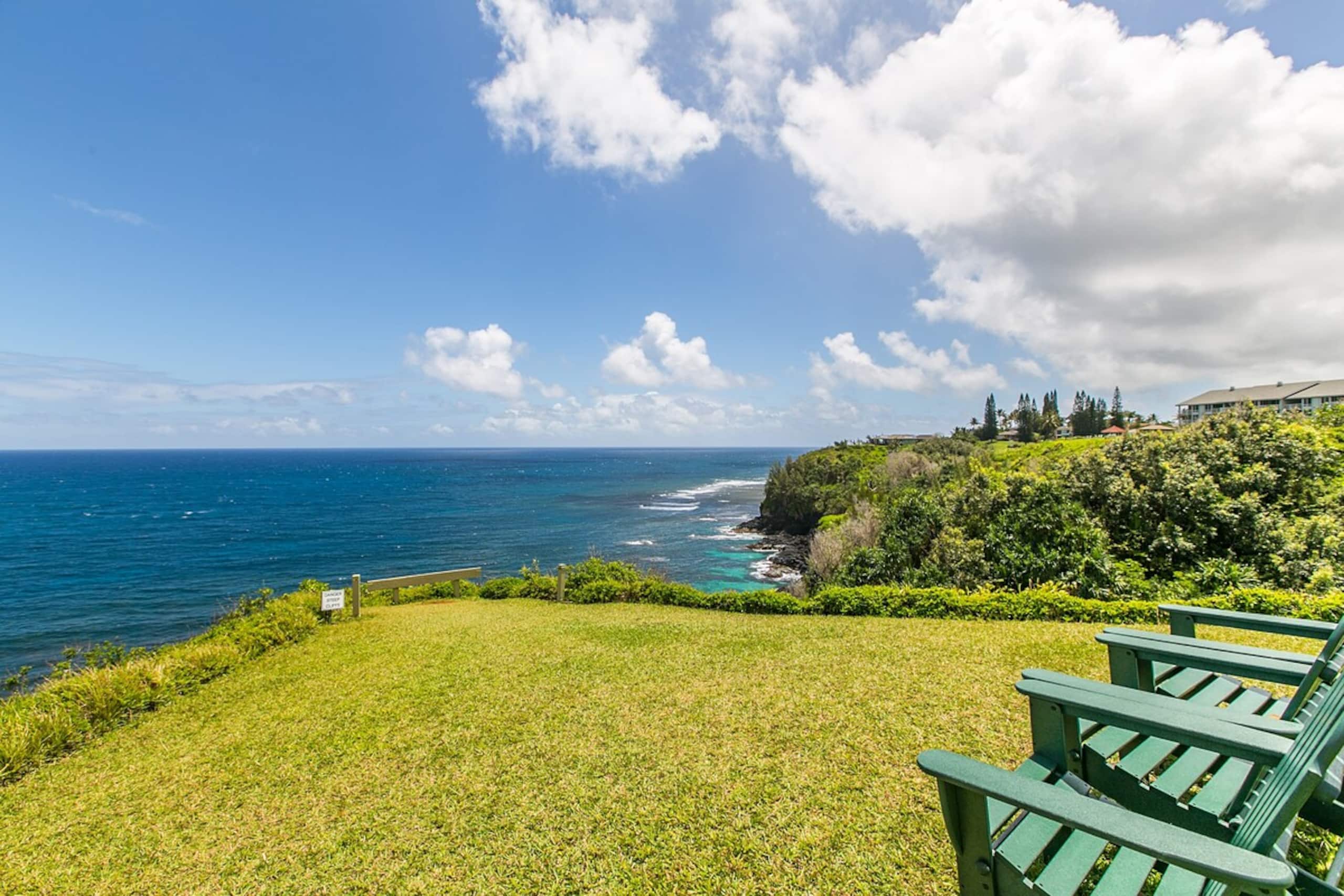 Art and Ocean | Serenity on Kauai's Shore - Photo 12