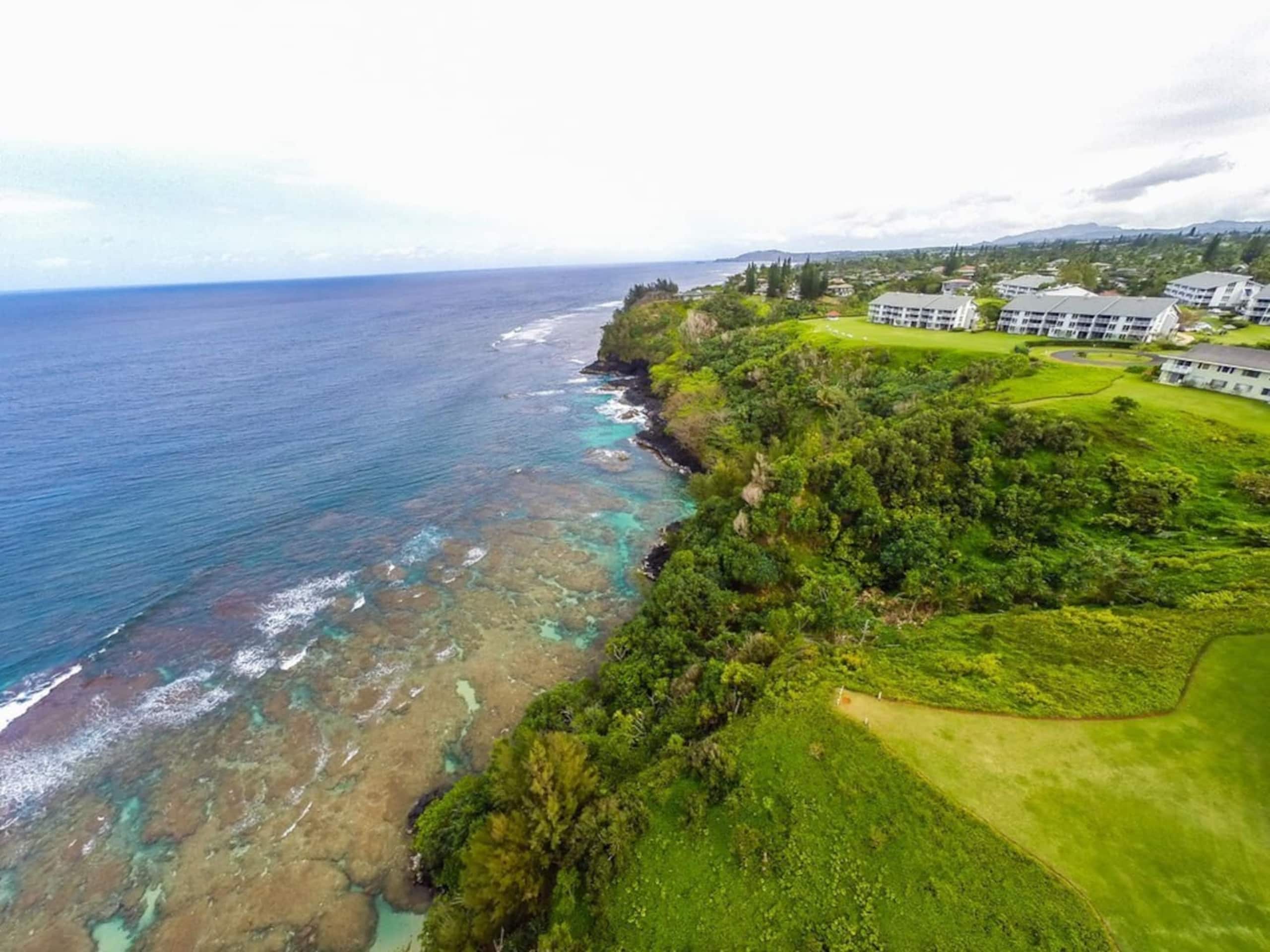 Art and Ocean | Serenity on Kauai's Shore - Photo 23