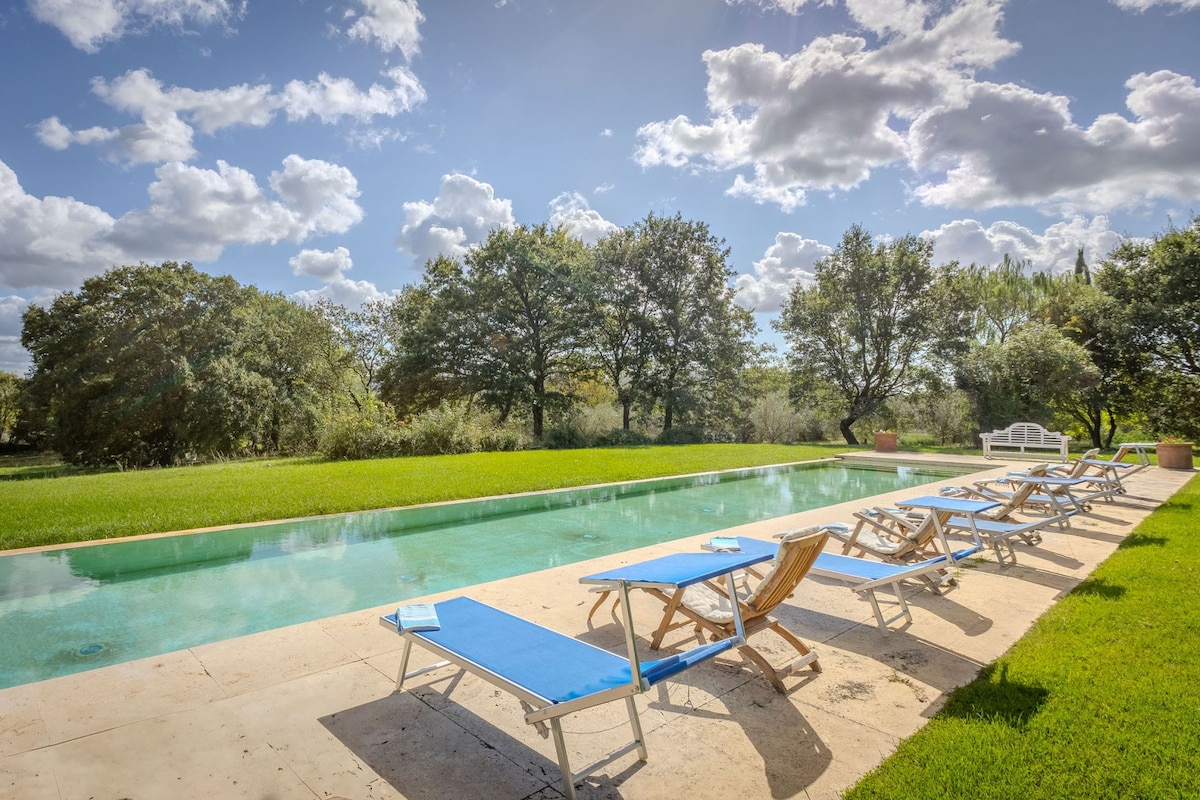 The image captures a serene outdoor setting featuring a rectangular swimming pool lined with sun loungers. Lush green grass surrounds the pool, while clusters of trees provide natural shade. The sky is filled with fluffy clouds, enhancing the peaceful atmosphere.