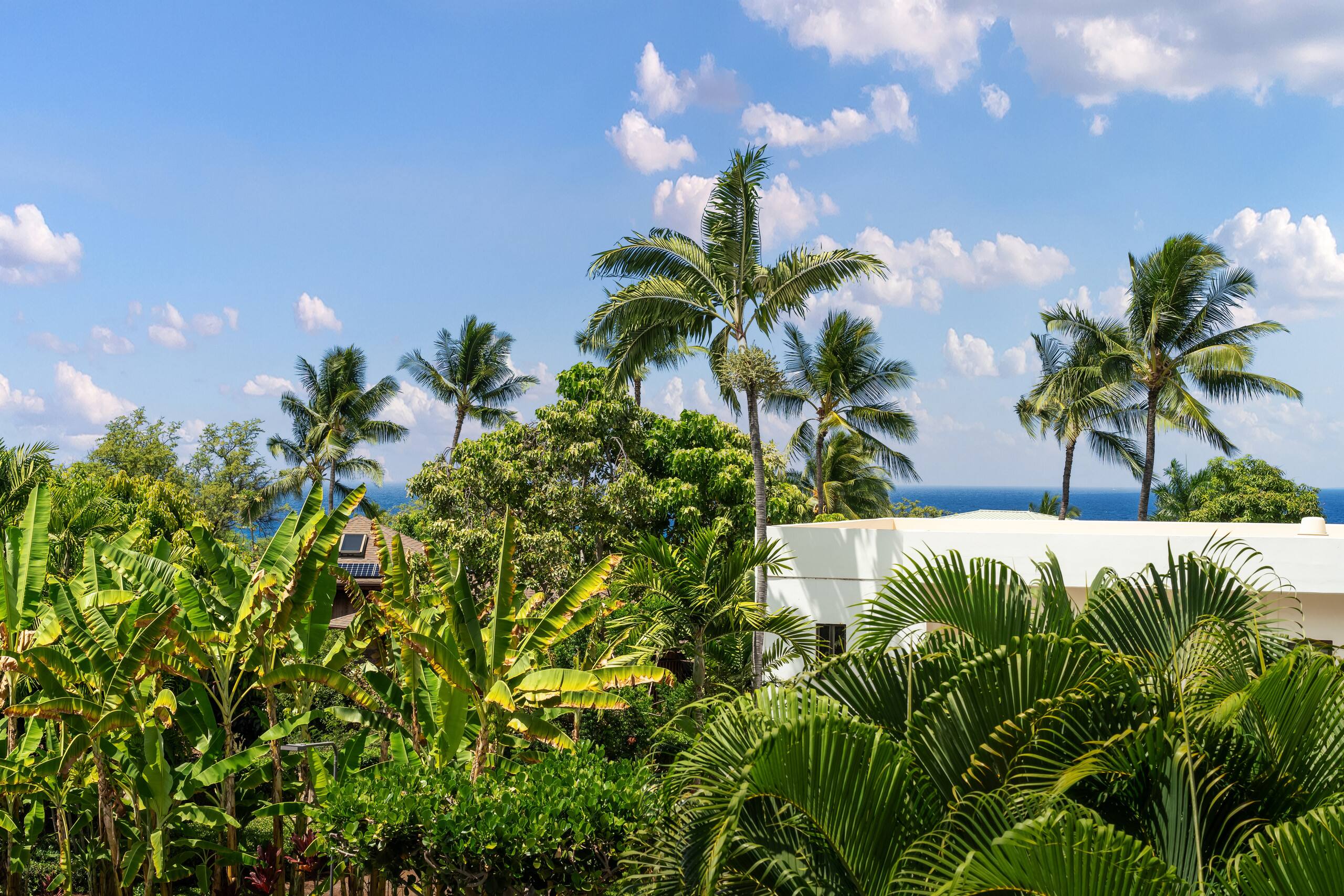 Condo in Kailua-Kona · ★4.78 · 1 bedroom · 2 beds · 1 bath - Image 26