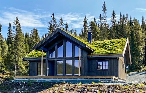 Stunning home in Vinje with WiFi