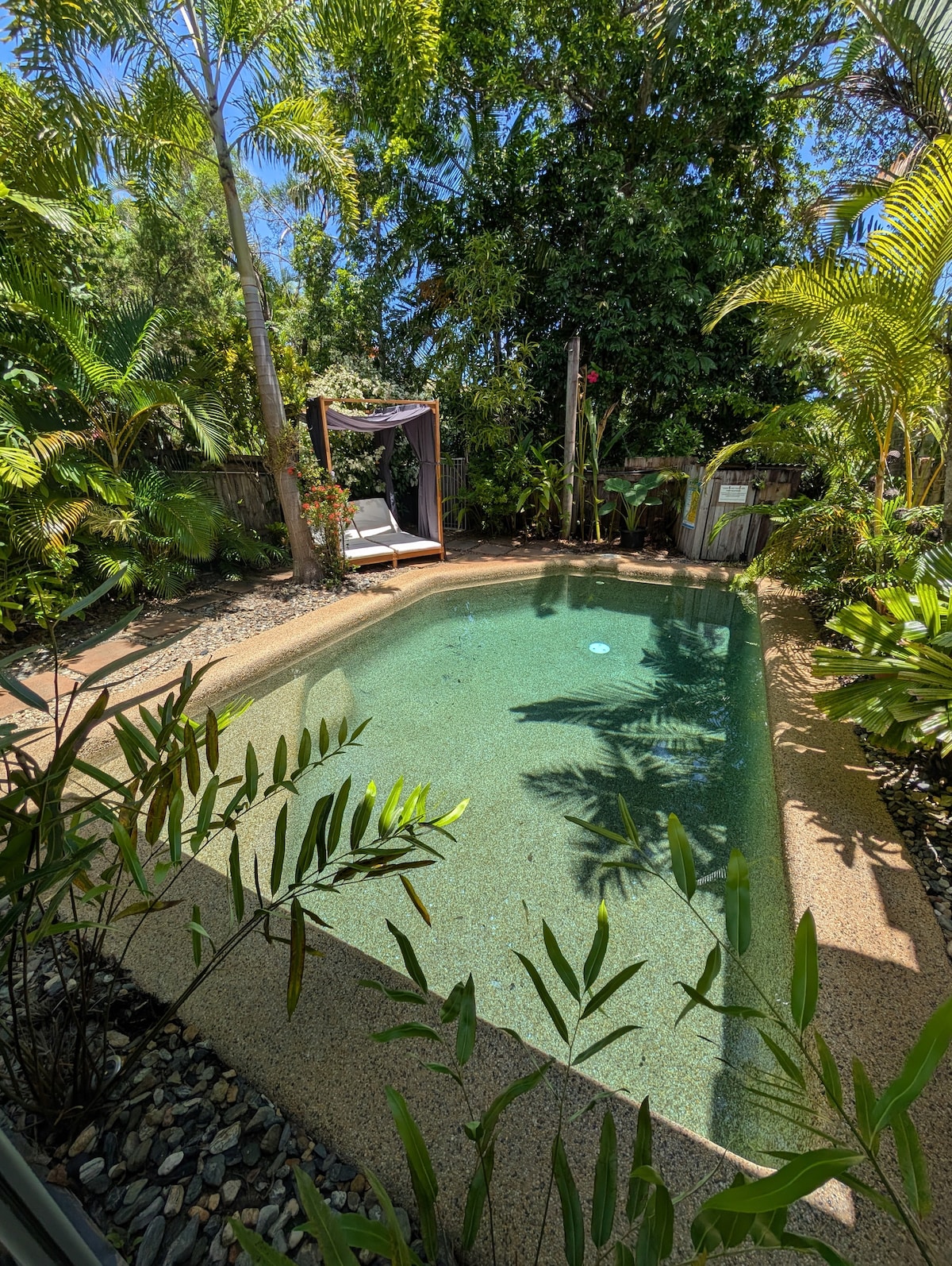 A private saltwater pool is surrounded by lush greenery and tropical plants. A shaded seating area is visible nearby, offering a tranquil space to relax. The water is clear, reflecting the sunlight filtering through the leaves, creating a serene atmosphere.