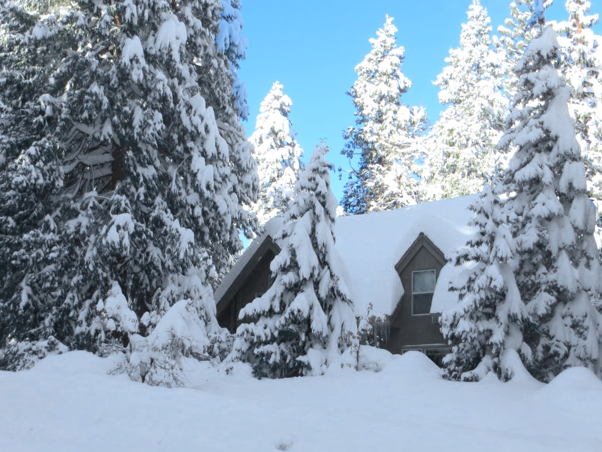 A cozy cabin is nestled among tall snow-covered pine trees, showcasing a winter landscape under a clear blue sky. The sloped roof is laden with fresh snow, creating a serene and inviting scene for winter visitors.