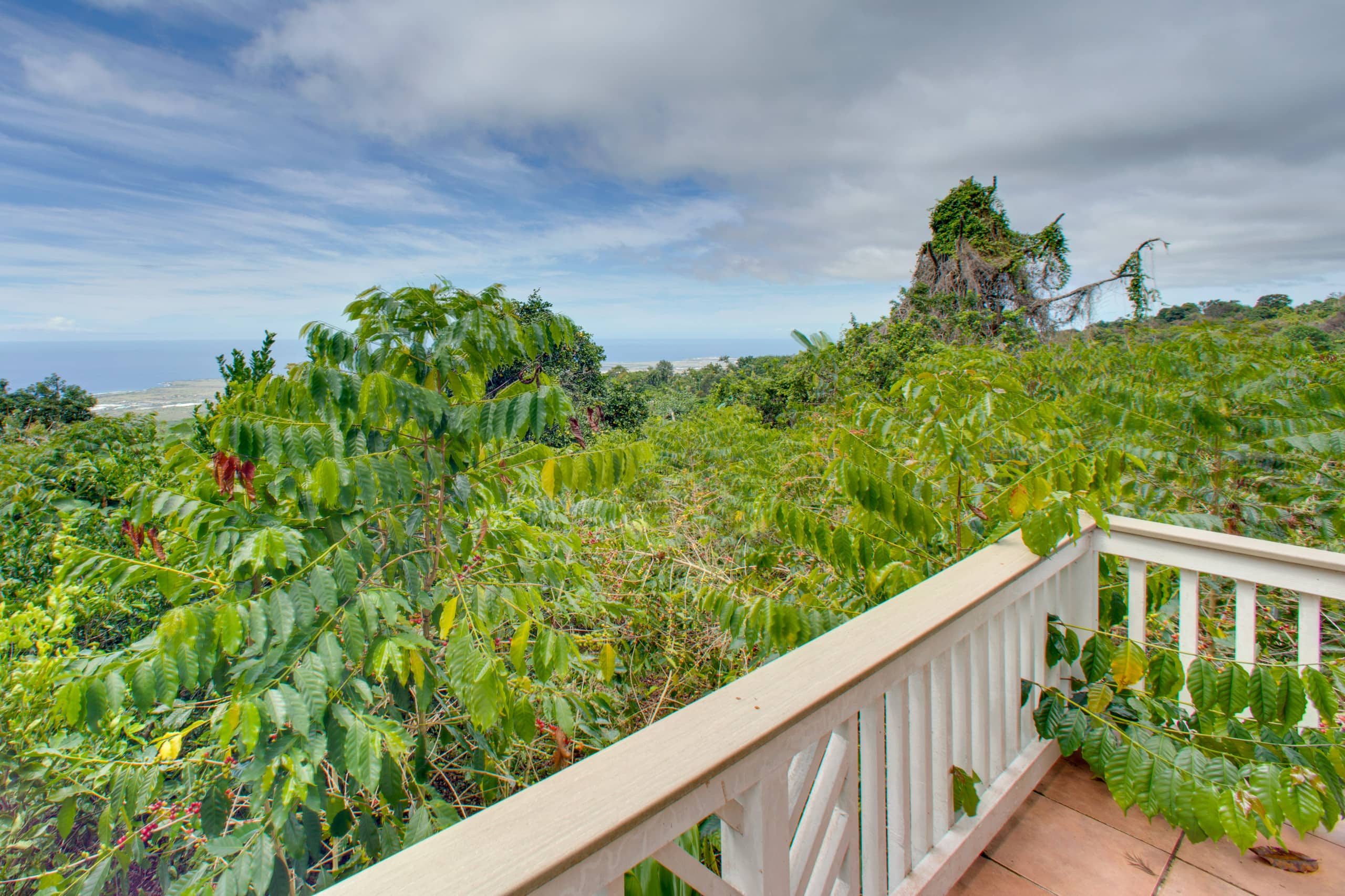 8 Mi to Magic Sands Beach: Tranquil Home w/ Lanai! - Photo 20