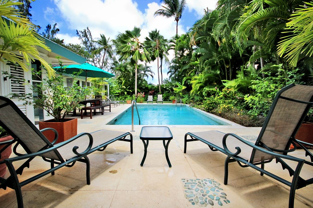 Lounge chairs are positioned around a tranquil pool deck surrounded by lush tropical plants and swaying palm trees. A small table is placed between the chairs, offering a space for refreshments. The pool's clear water reflects the blue sky dotted with fluffy clouds.