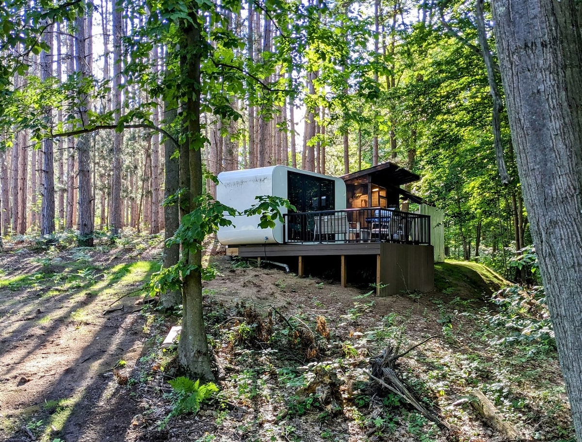 A modern tiny house is nestled among tall trees, featuring large windows that invite natural light. A deck surrounds the exterior, providing a connection to the forest. The surrounding area is filled with greenery and scattered sunlight, creating a serene and peaceful ambiance.