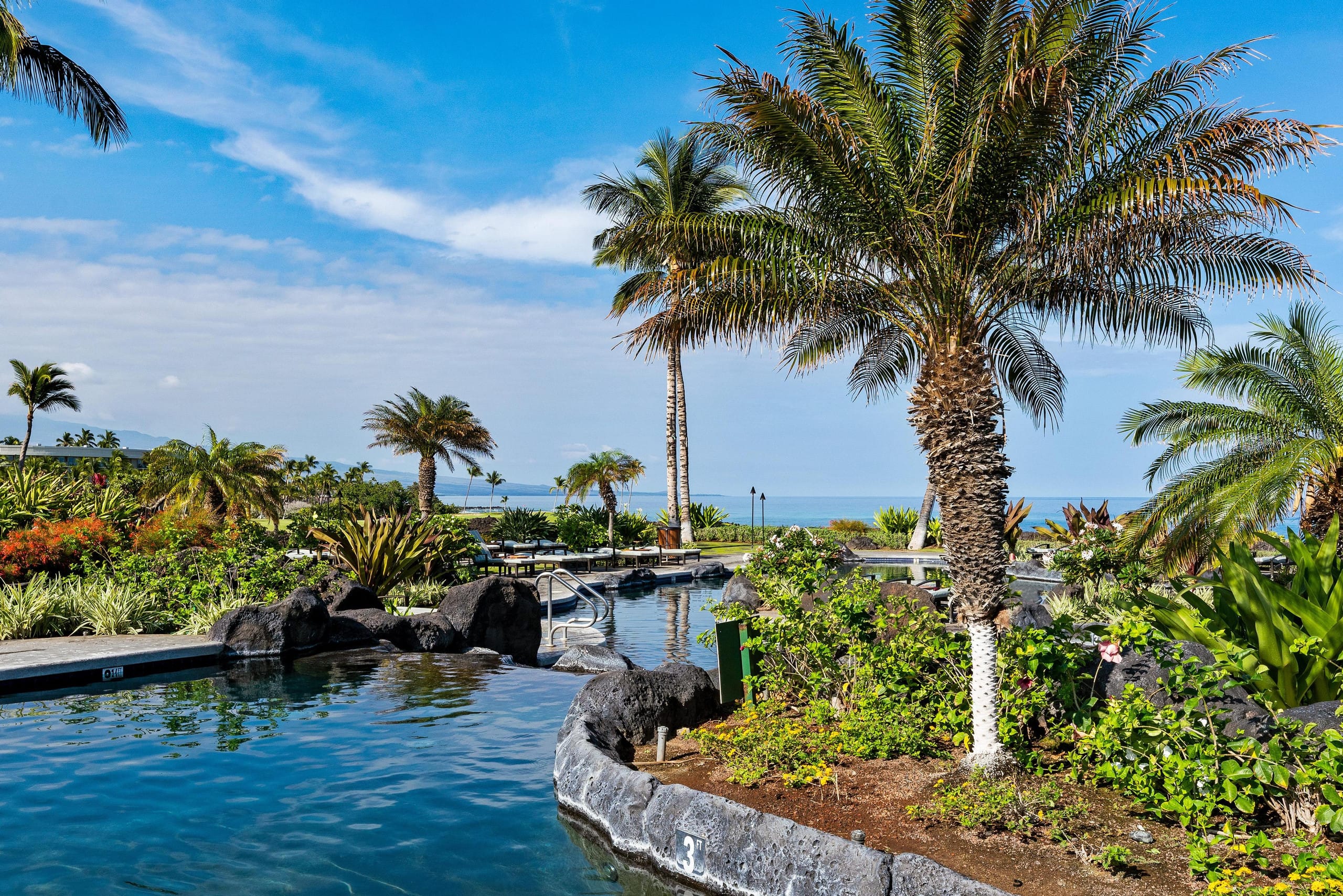 Hilton Pool Pass for 2026. 18G Halii Kai - Photo 42