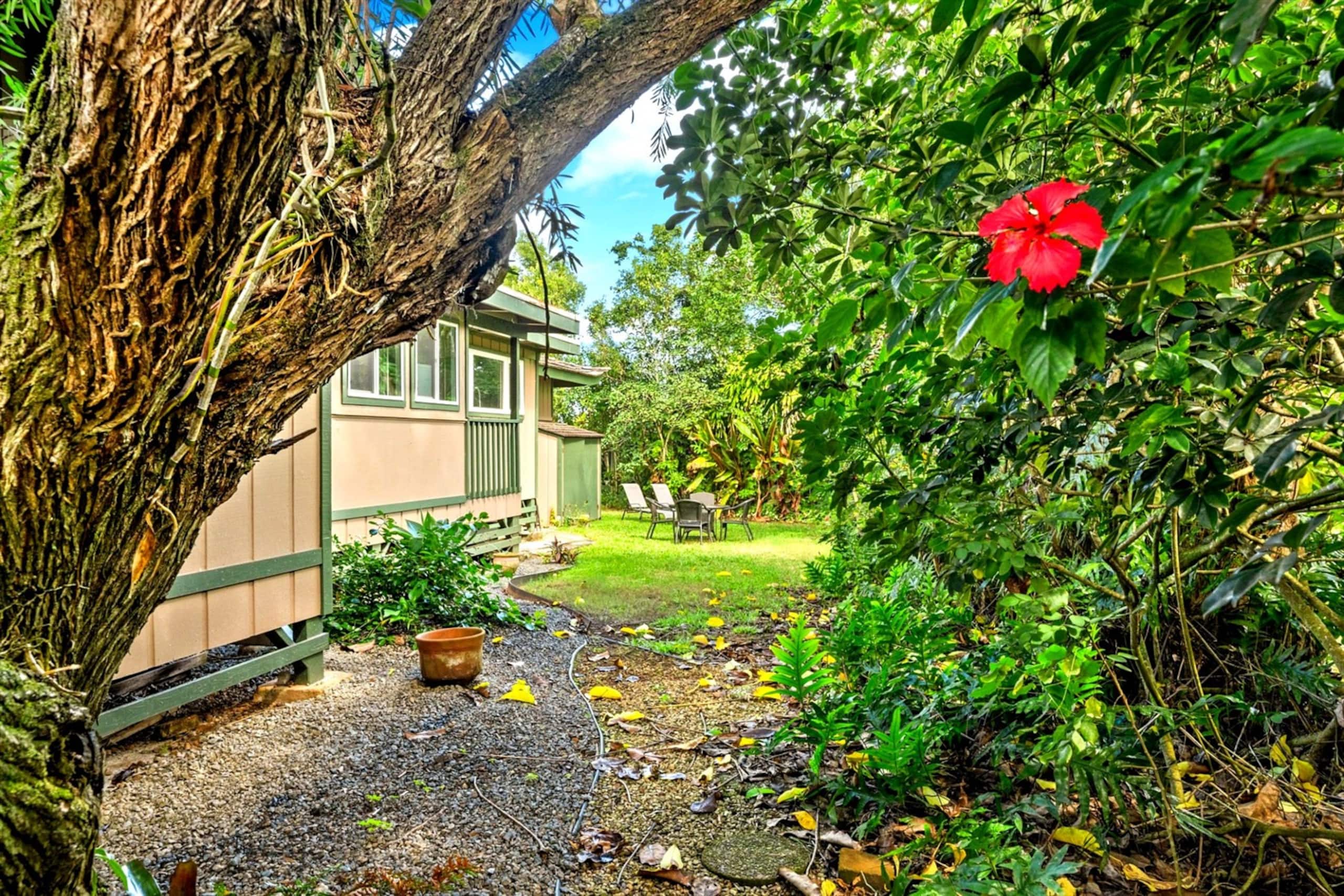 Home in Princeville · ★4.97 · 3 bedrooms · 5 beds · 2 private baths - Image 18