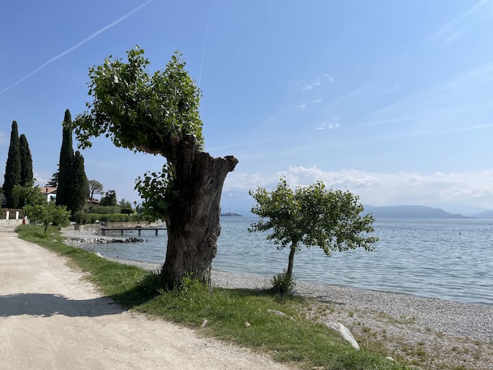 Concept Village Piccola Gardiola By Interhome - Manerba del Garda