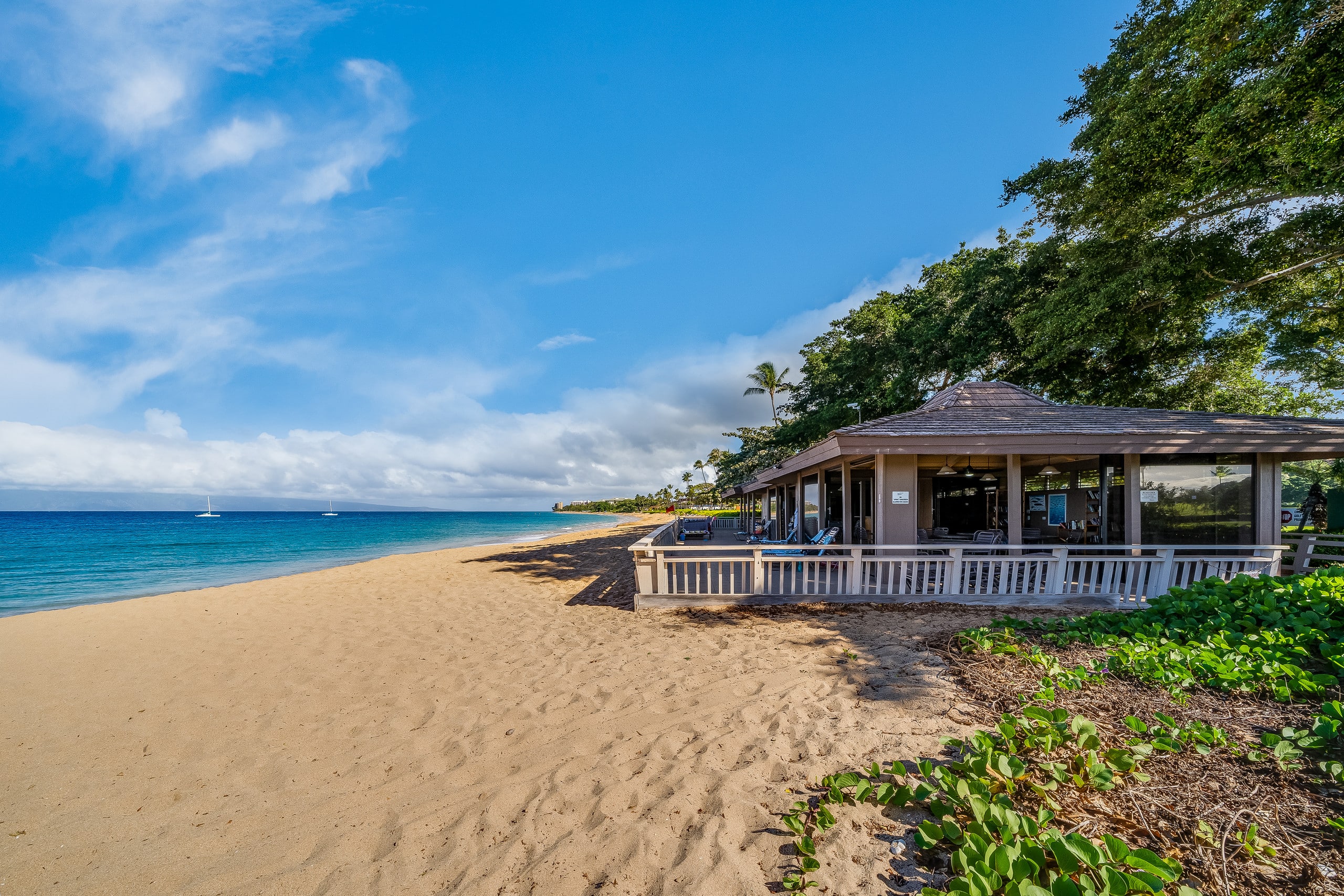 Condo in Lahaina · ★5.0 · 1 bedroom · 2 beds · 1 bath - Image 45