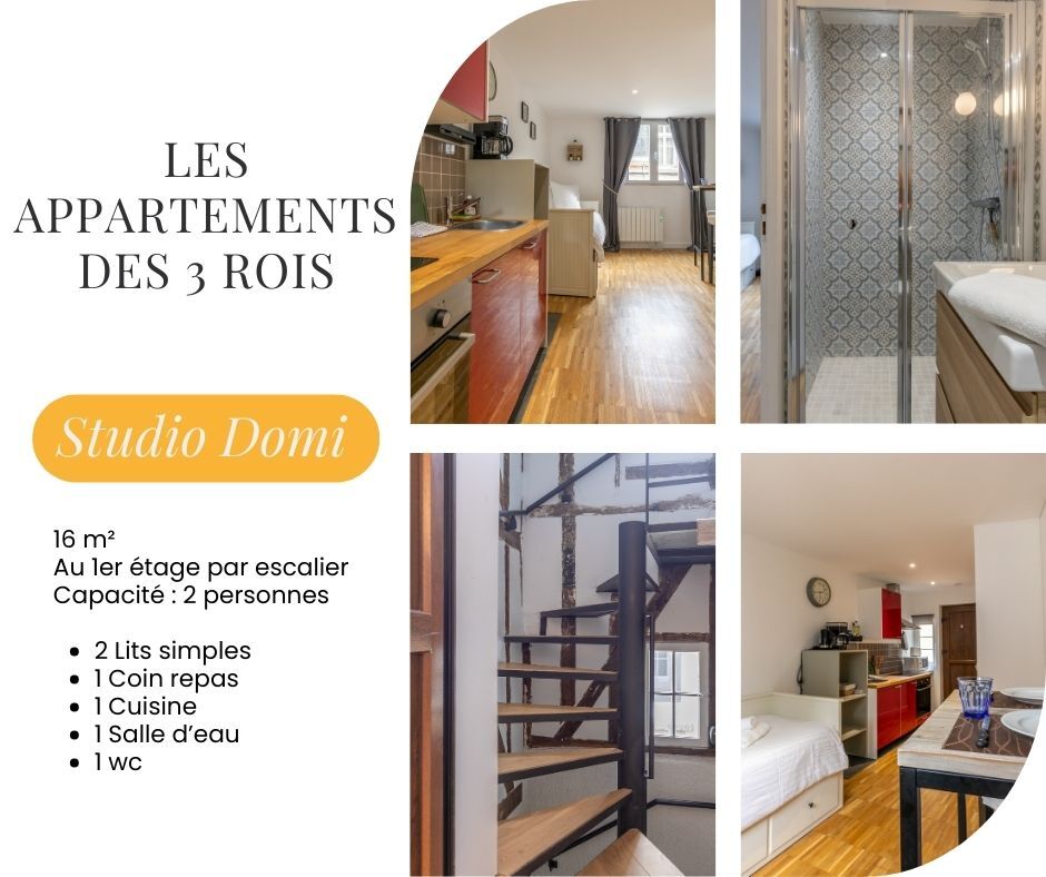 The image presents a compact studio with wooden flooring. A well-equipped kitchen area features essential appliances. A cozy dining space is adjacent to a sleeping area with versatile bedding options. A modern bathroom includes a walk-in shower. Stairs are visible leading to the upper levels.