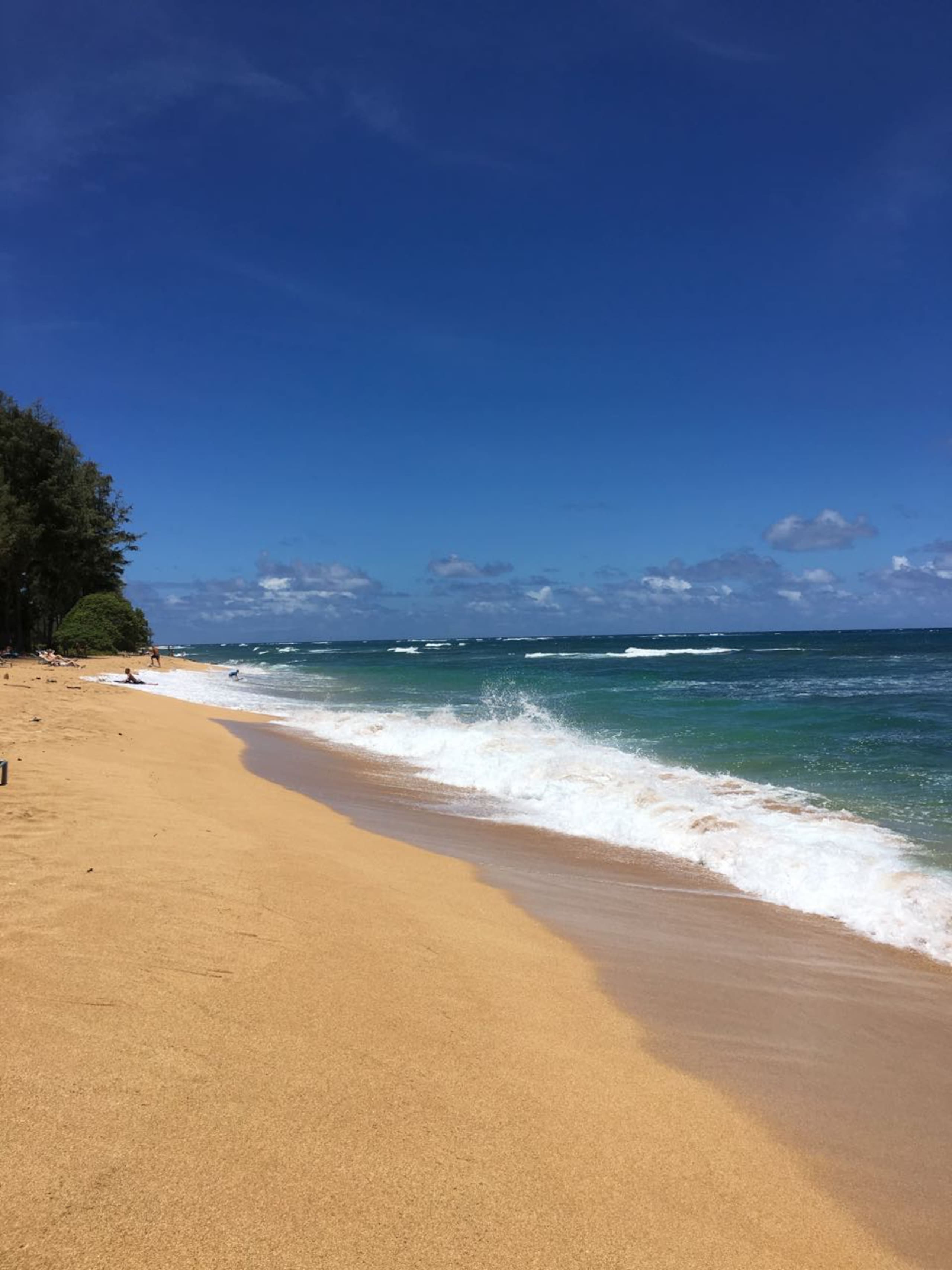 Home in Kapaa · ★4.82 · 1 bedroom · 1 bed · 1 bath - Image 33