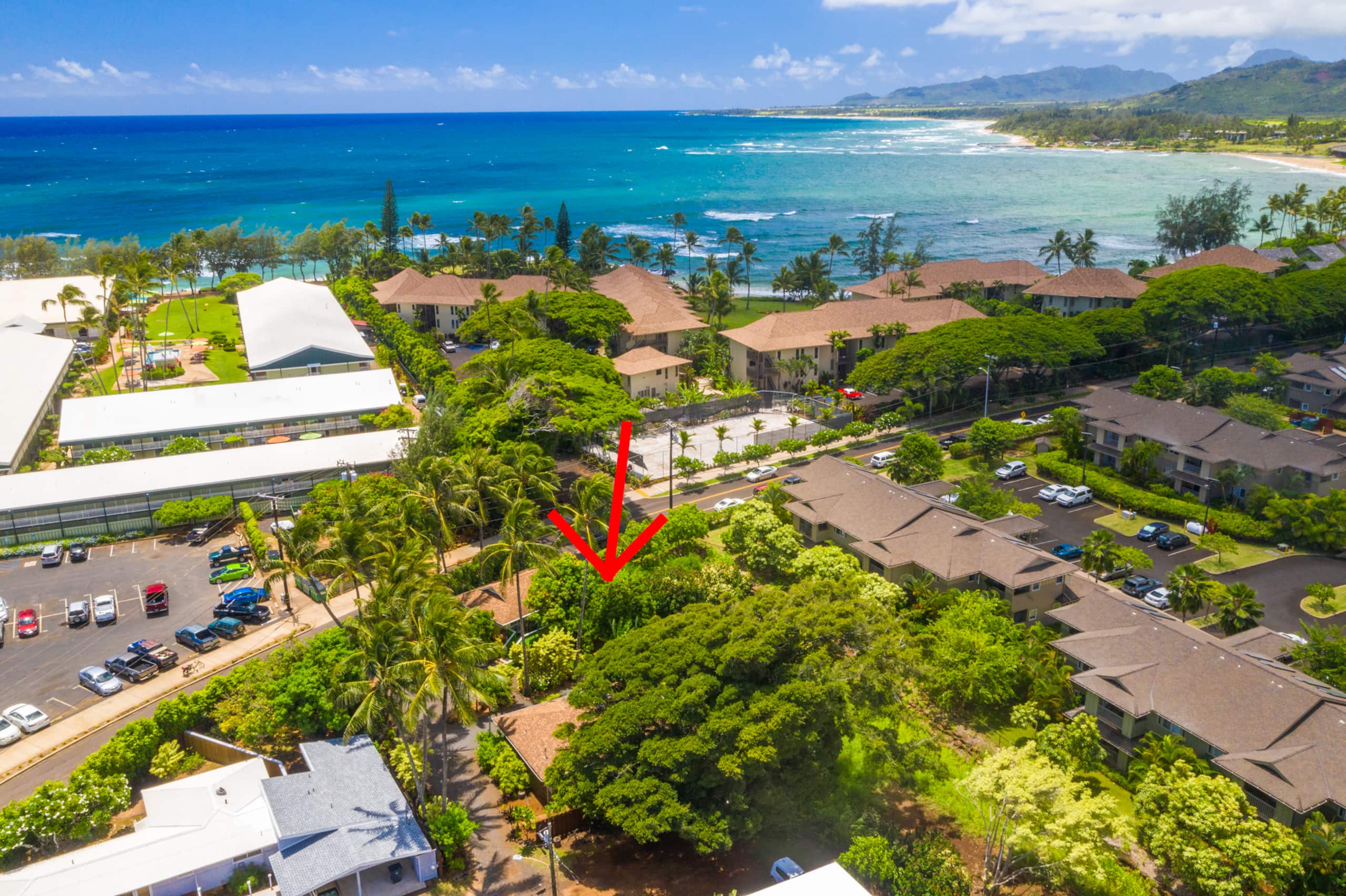 Home in Kapaa · ★4.82 · 1 bedroom · 1 bed · 1 bath - Image 28
